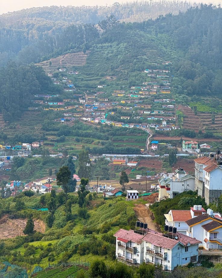 Ooty