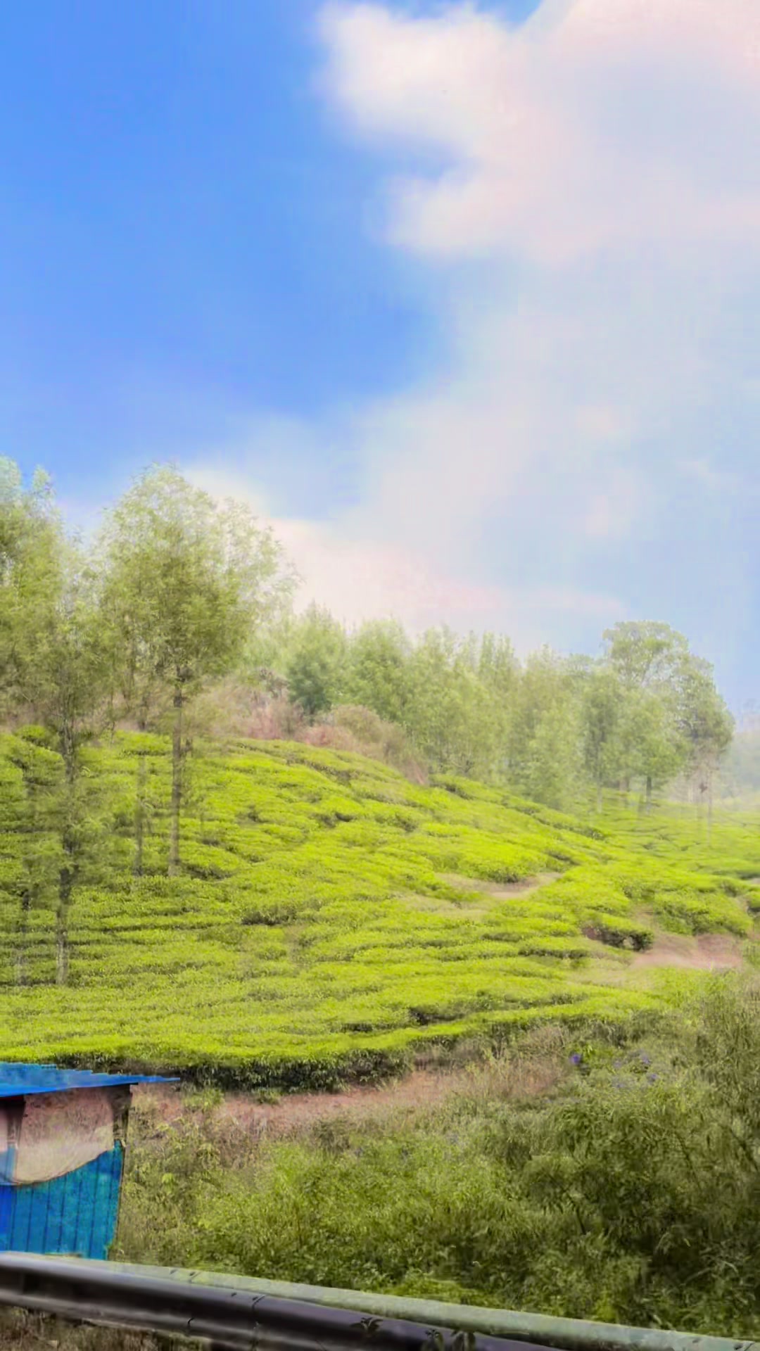 Ooty