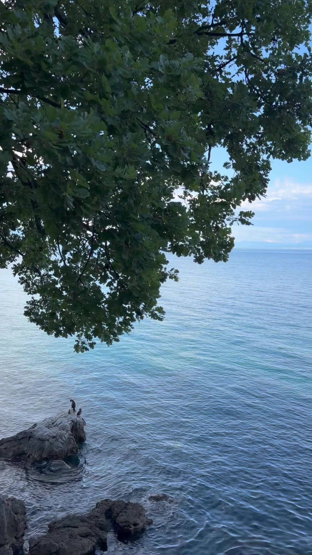 Opatija