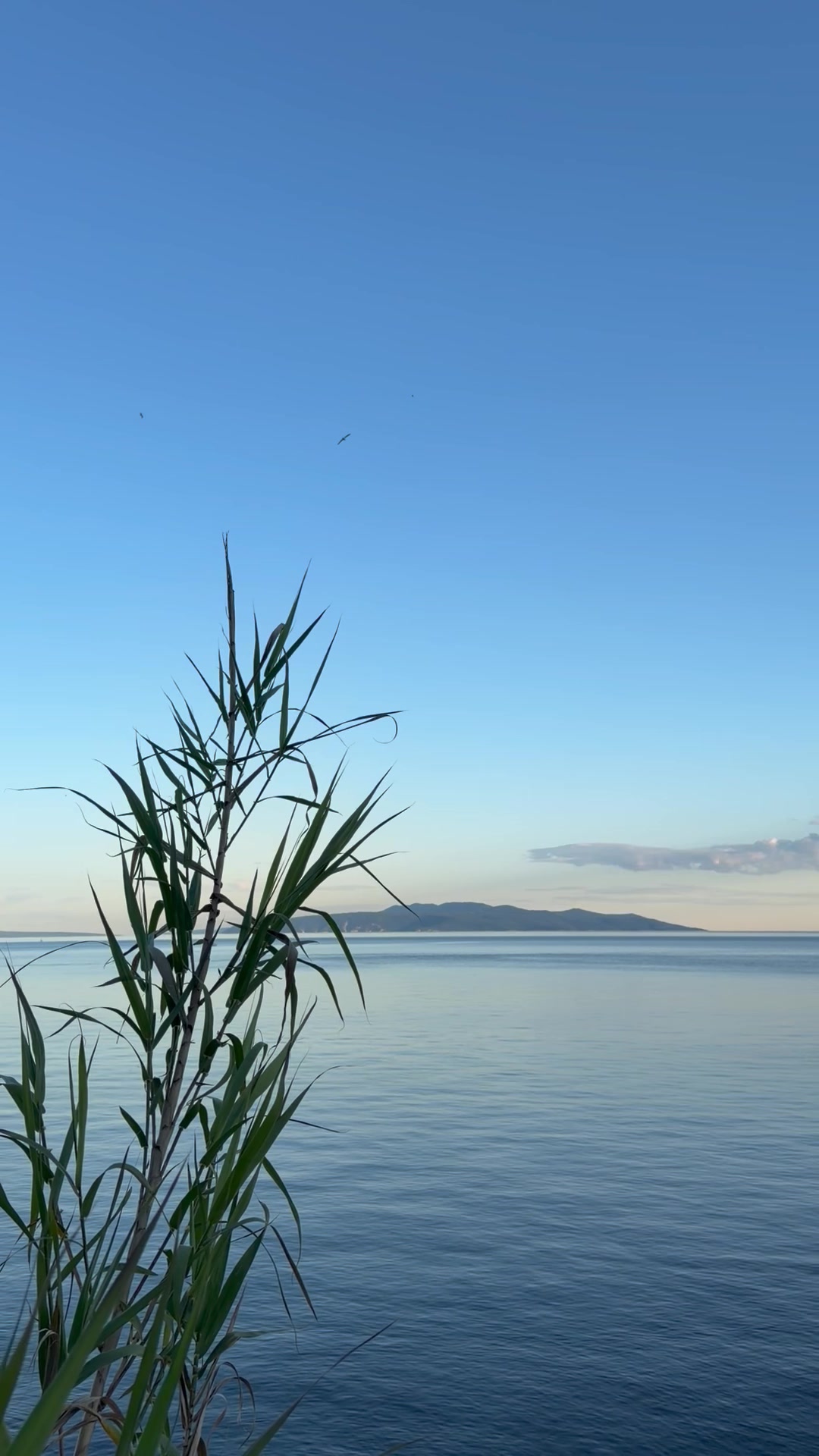 Opatija