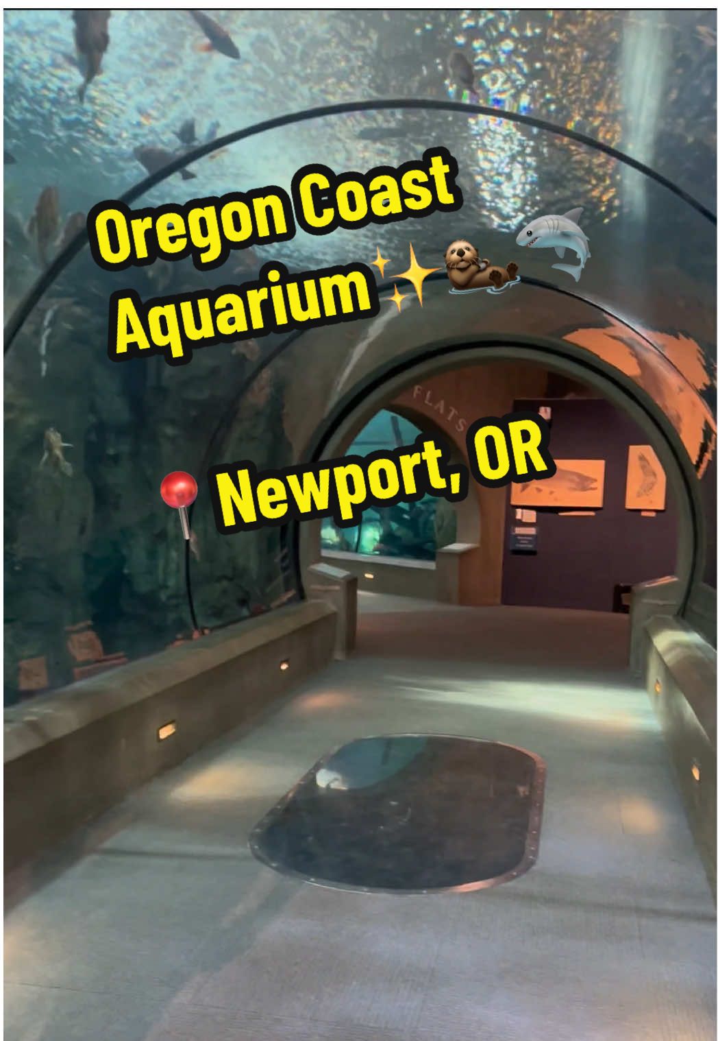 Oregon Coast Aquarium