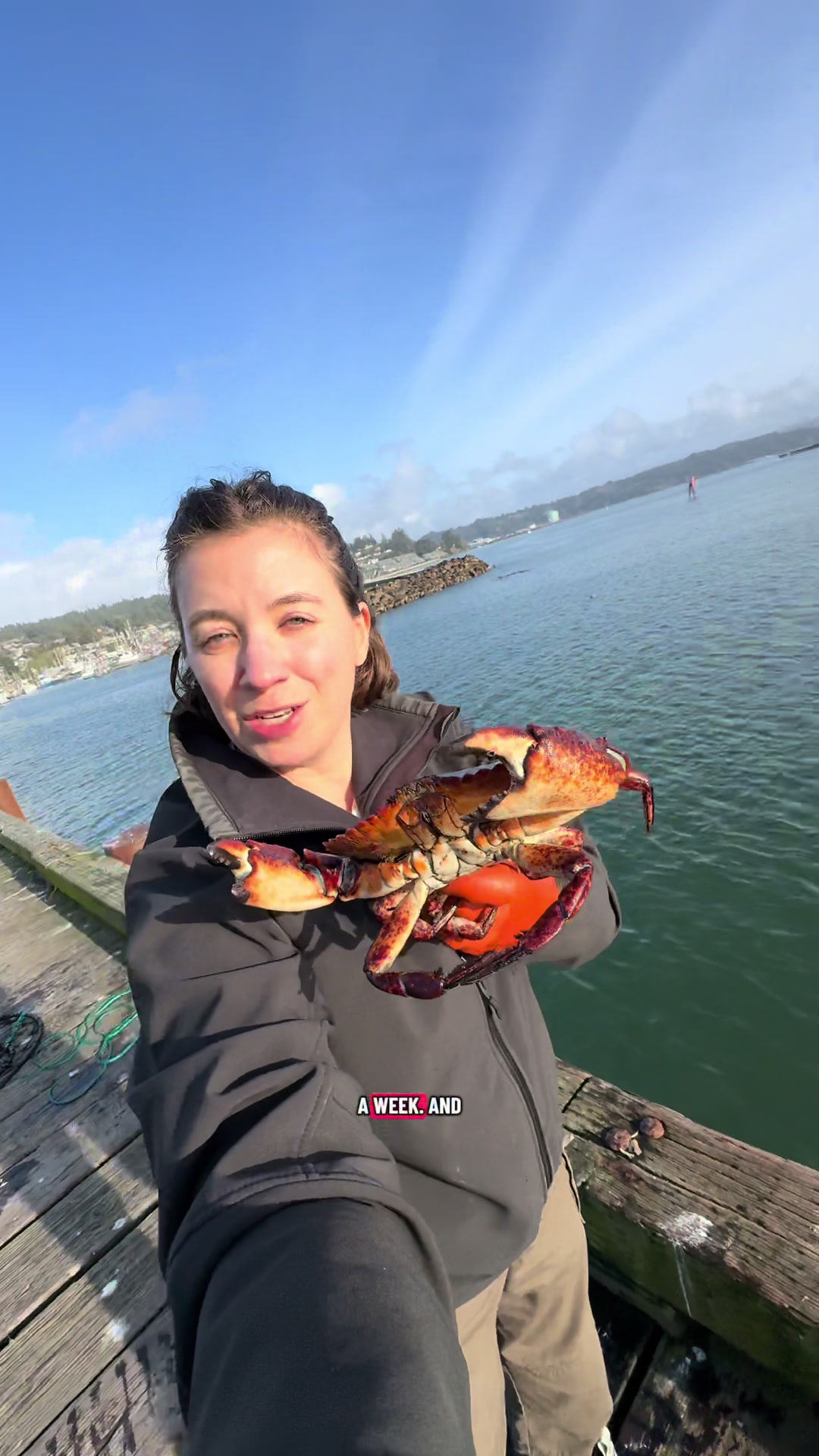 Oregon Coast