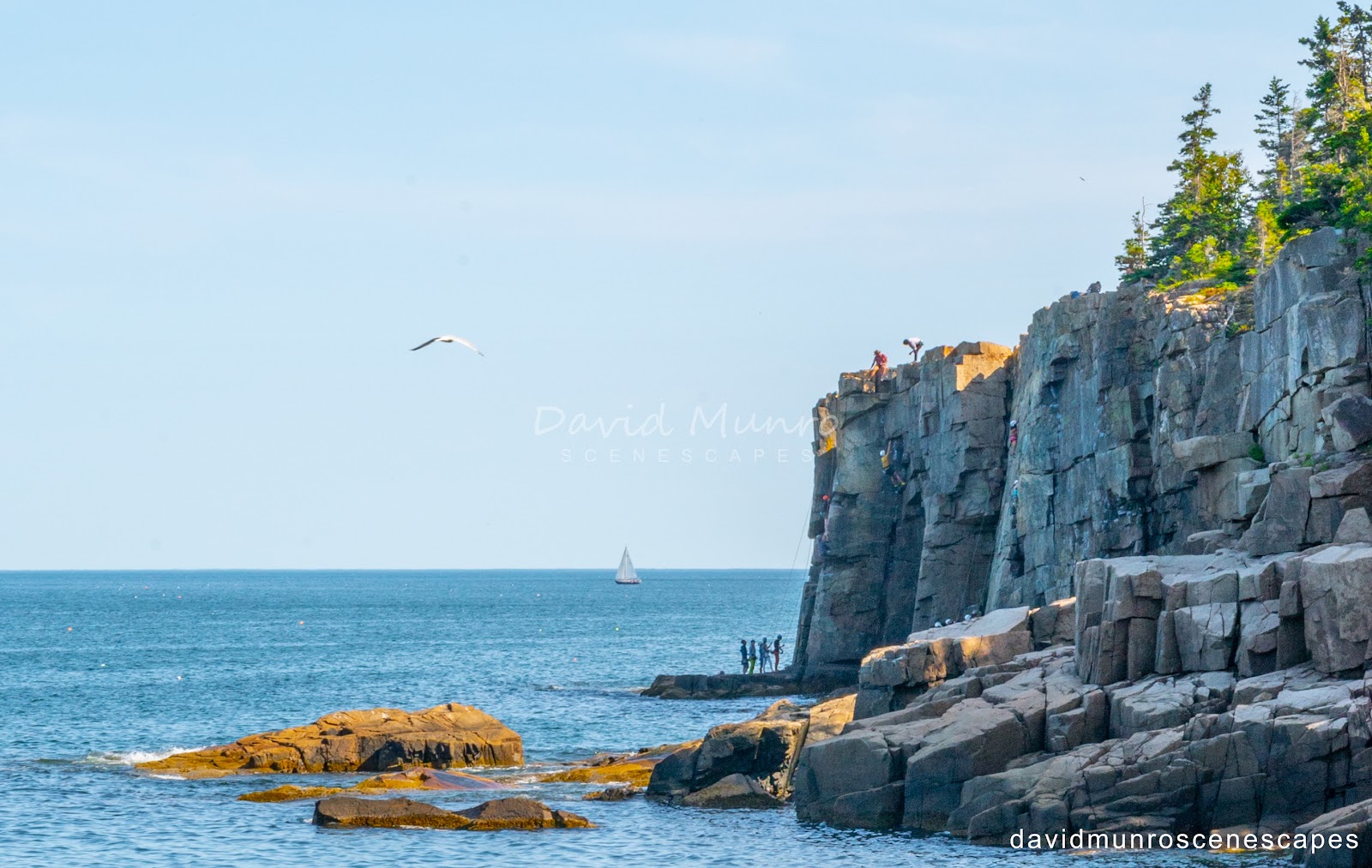 Otter Cliff