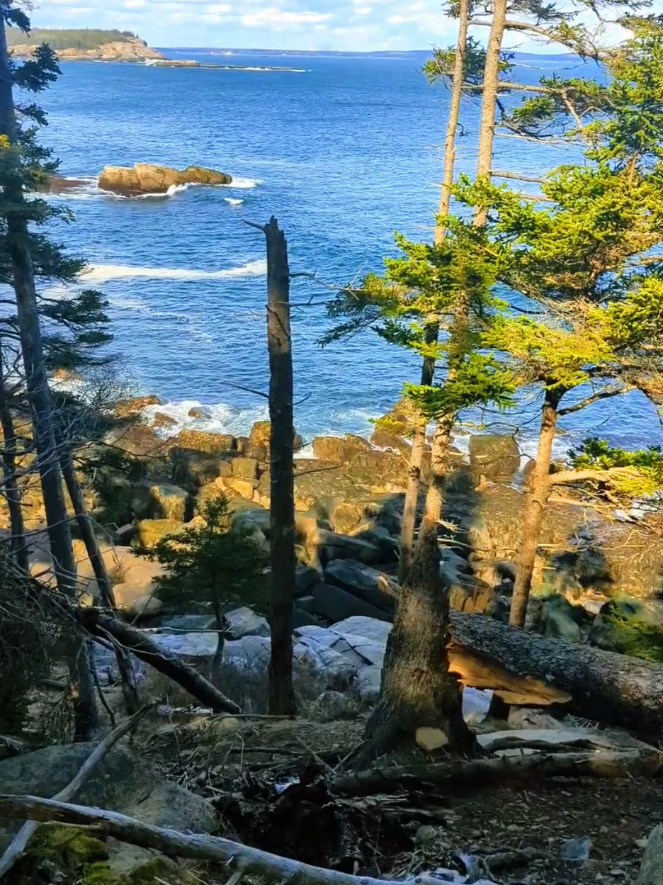 Otter Cliff