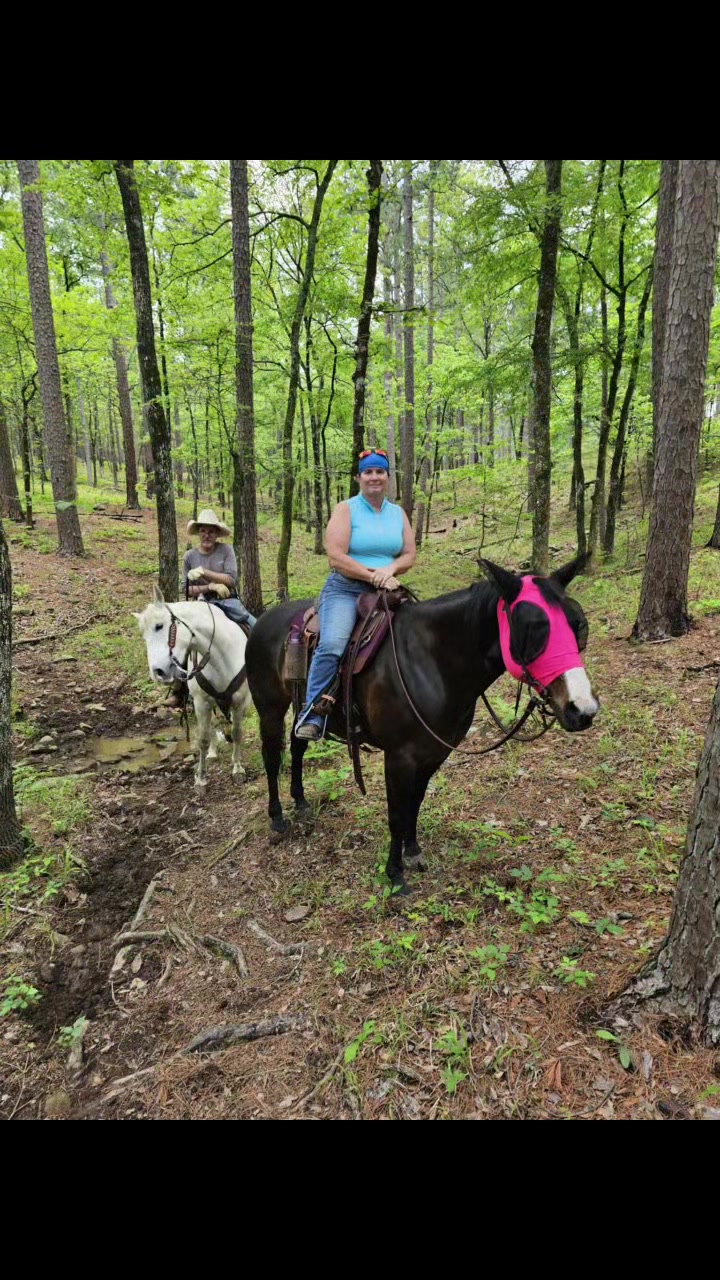 Ouachita National Forest
