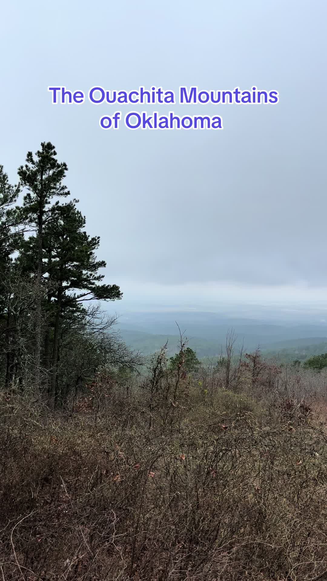 Ouachita National Forest