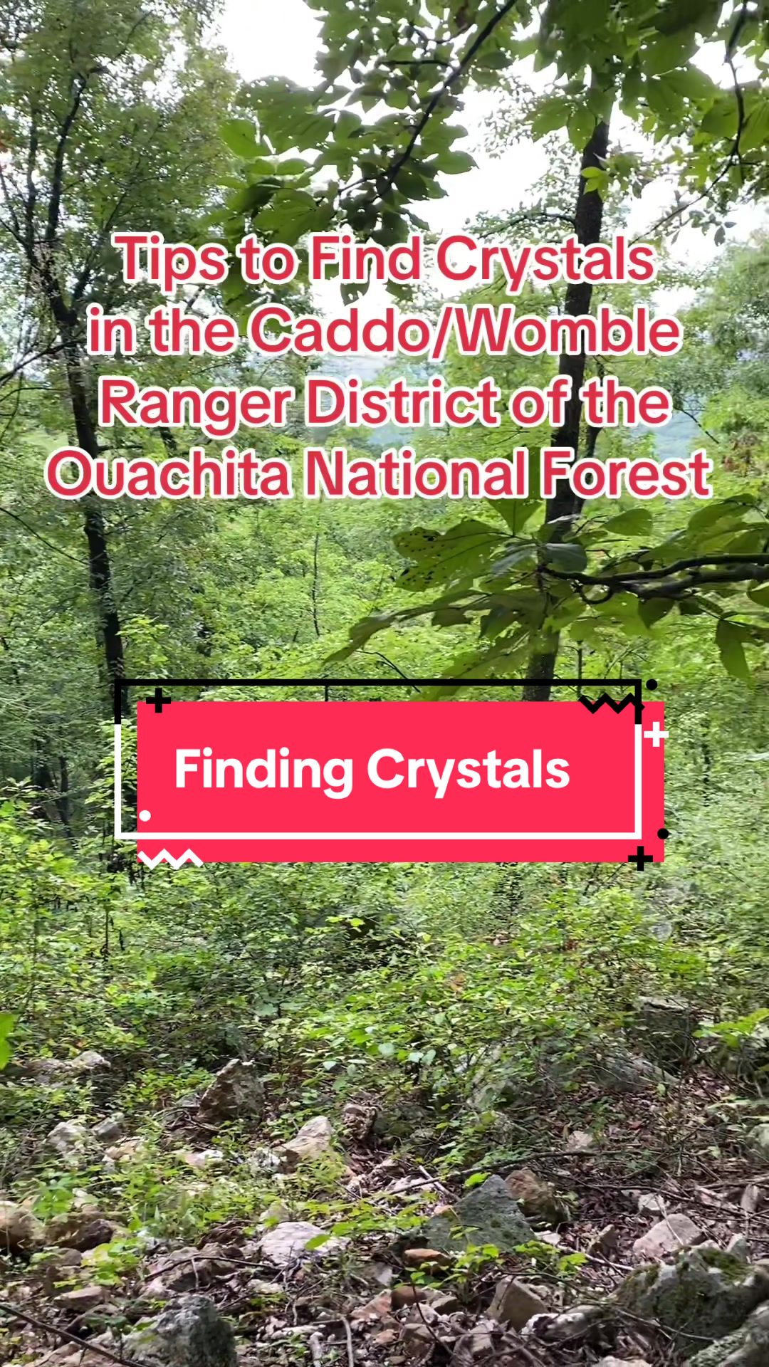 Ouachita National Forest