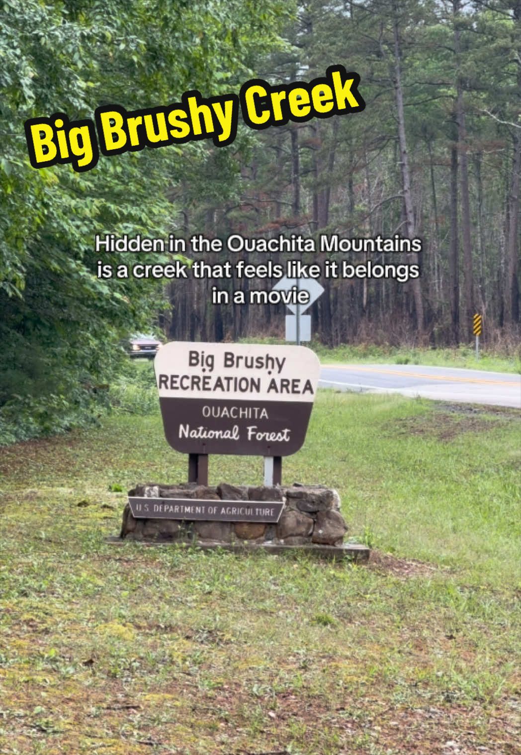 Ouachita National Forest