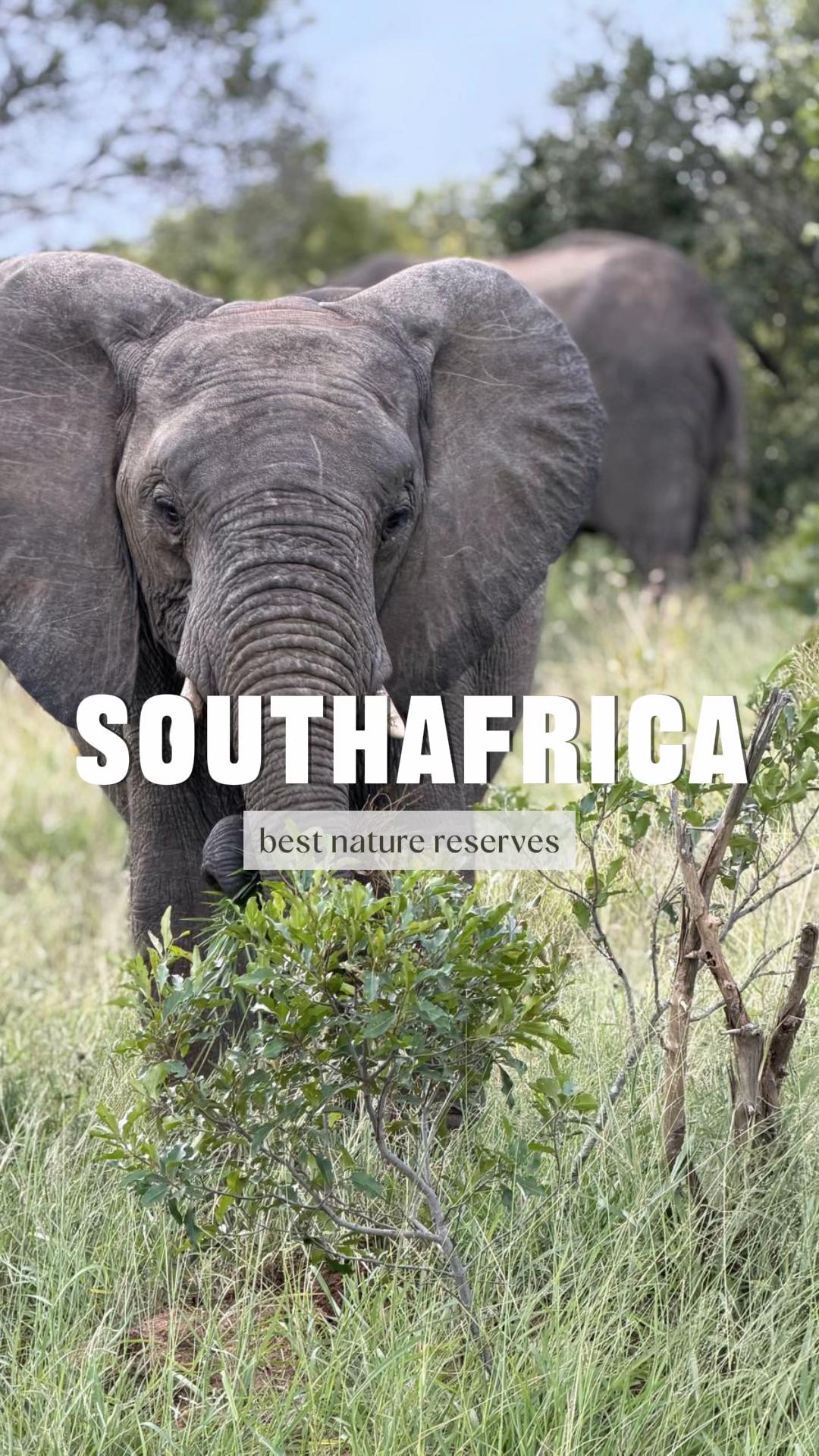 Oudtshoorn