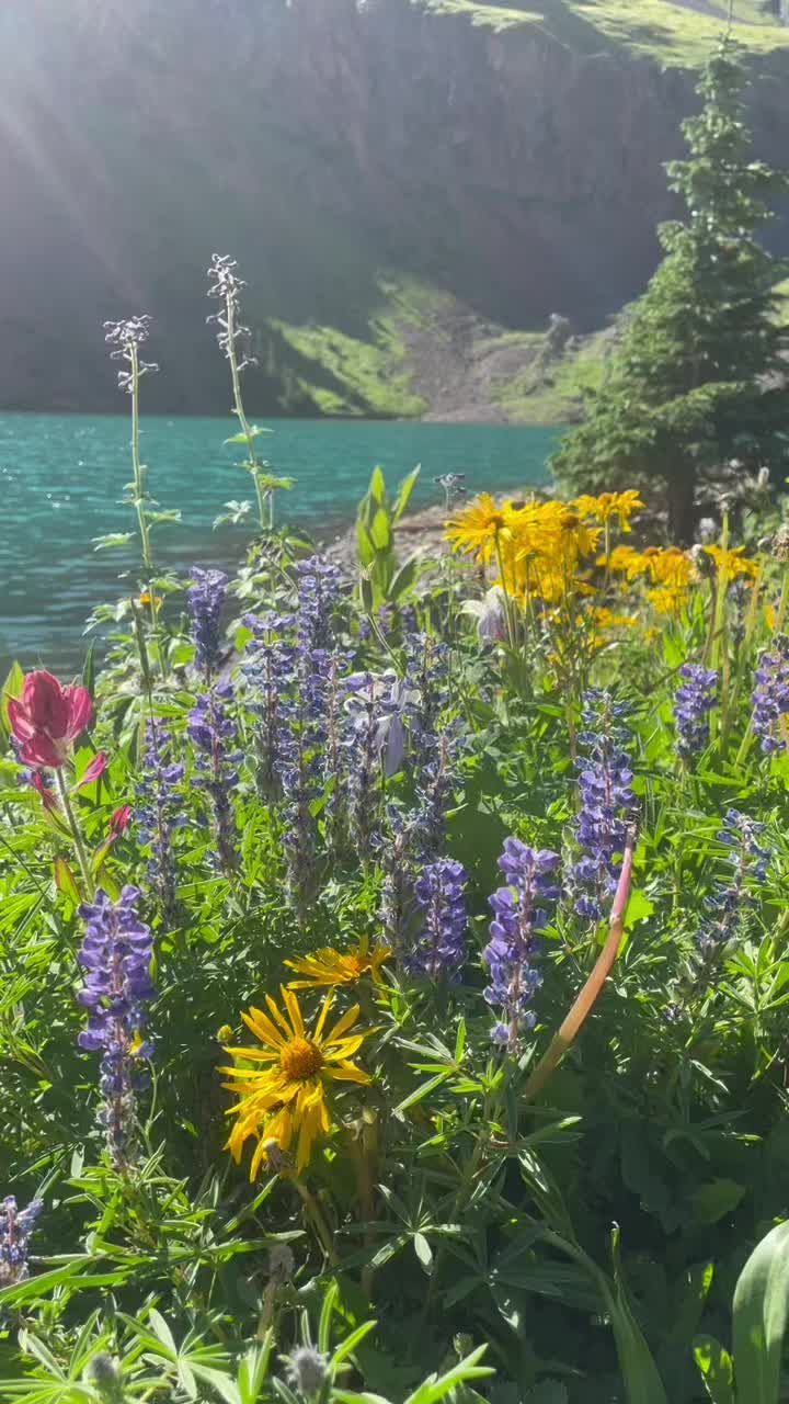 Ouray