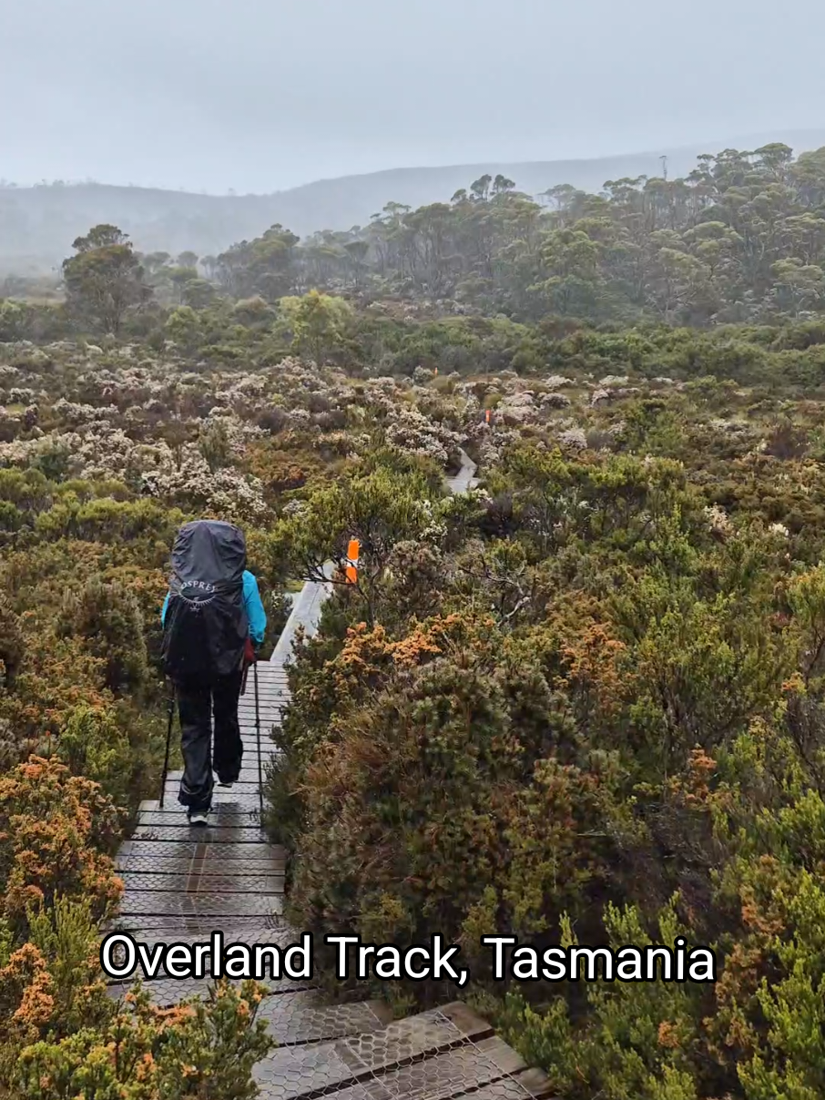 Overland Track