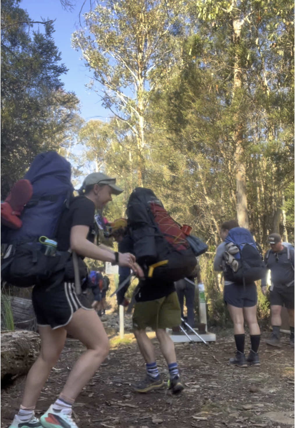 Overland Track