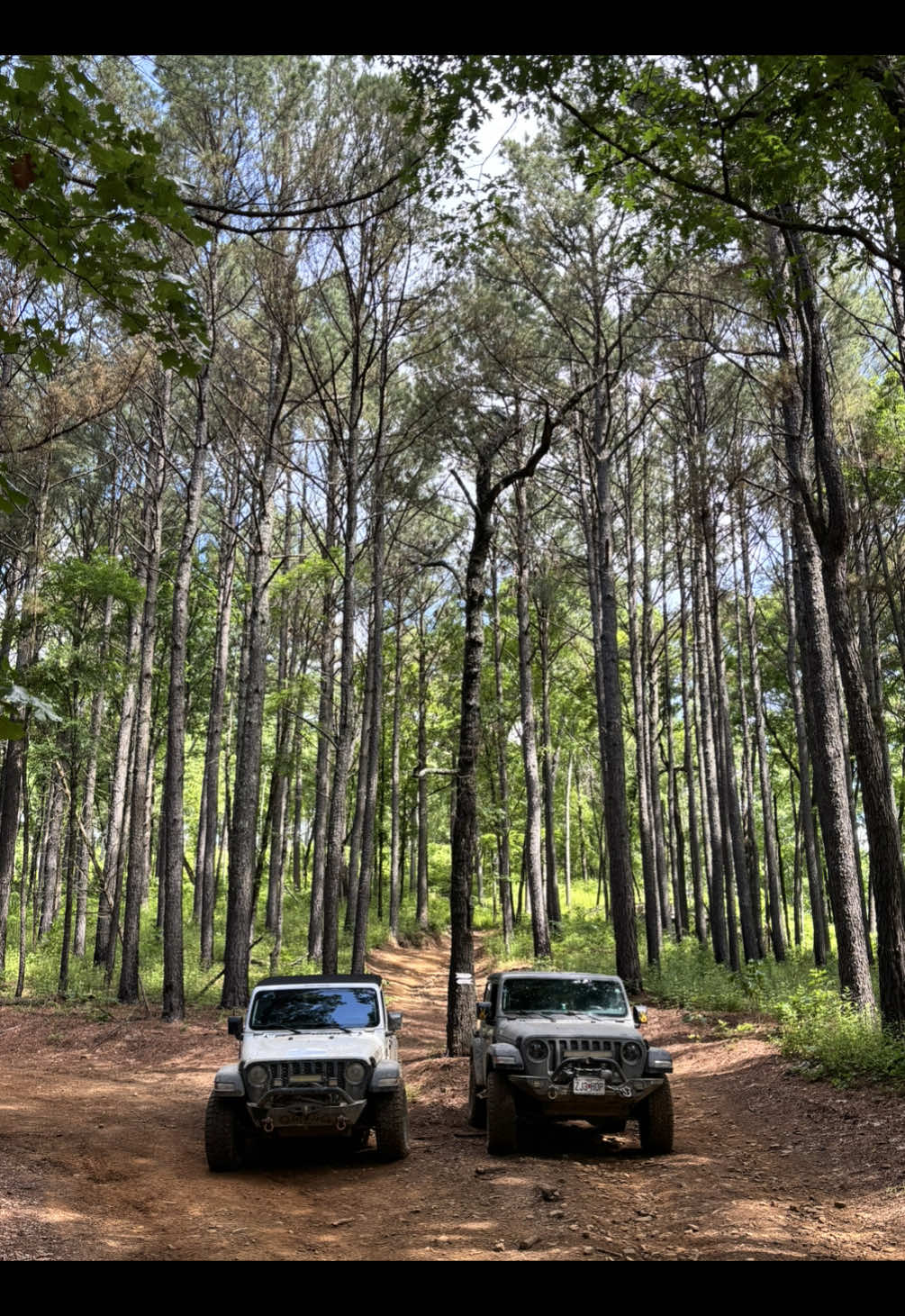 Ozark National Forest
