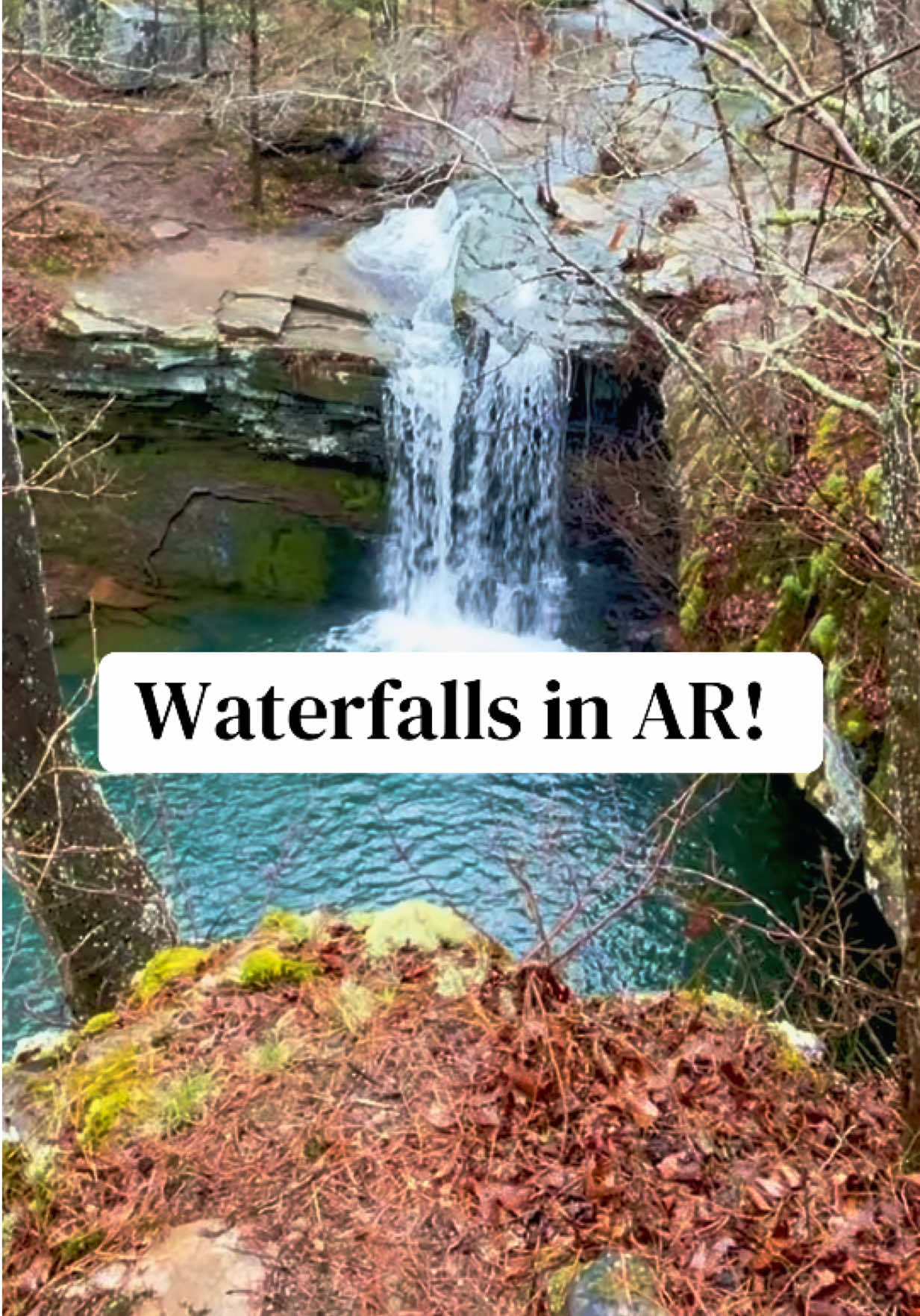 Ozark National Forest
