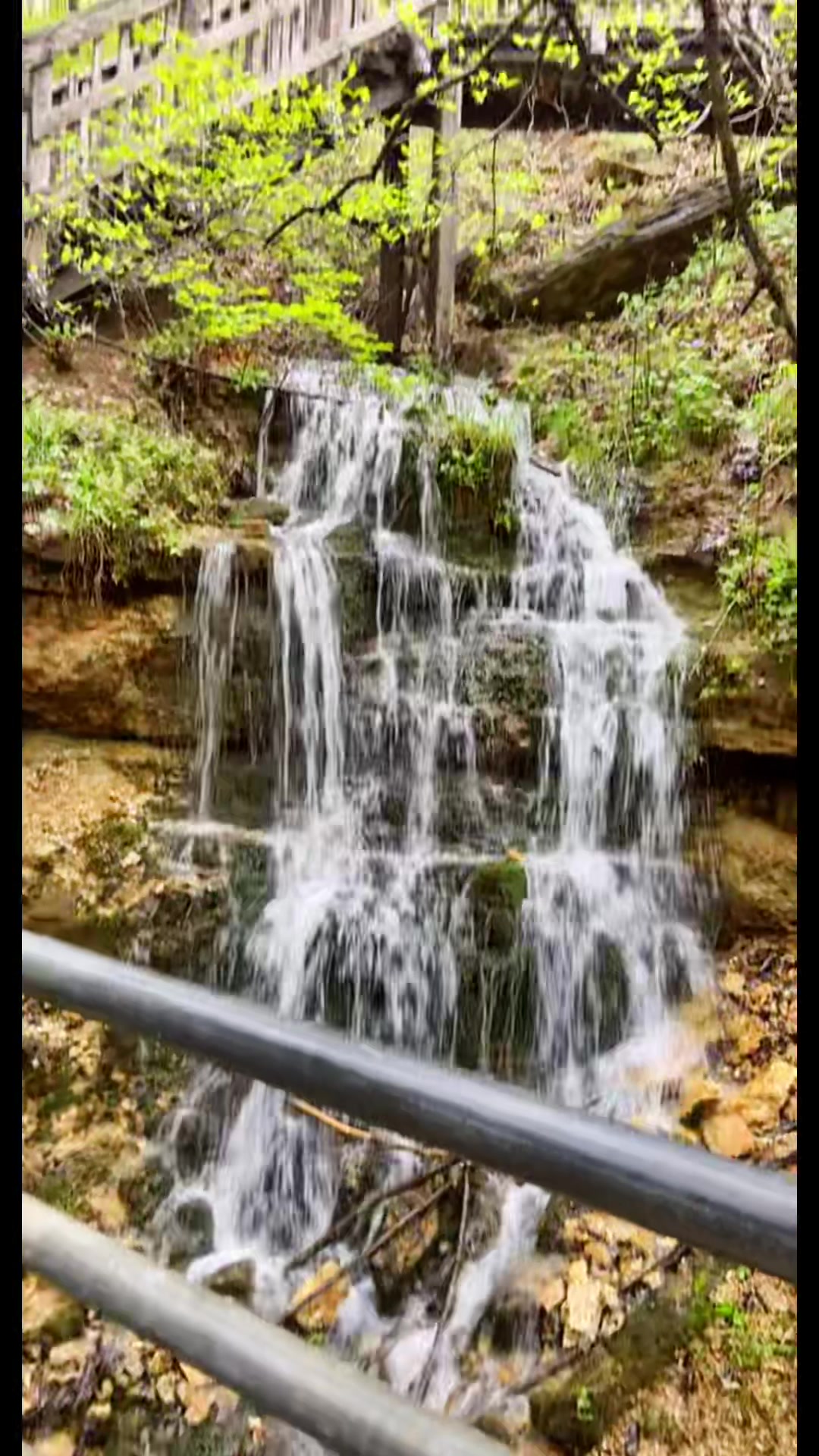 Ozark National Scenic Riverways, MO