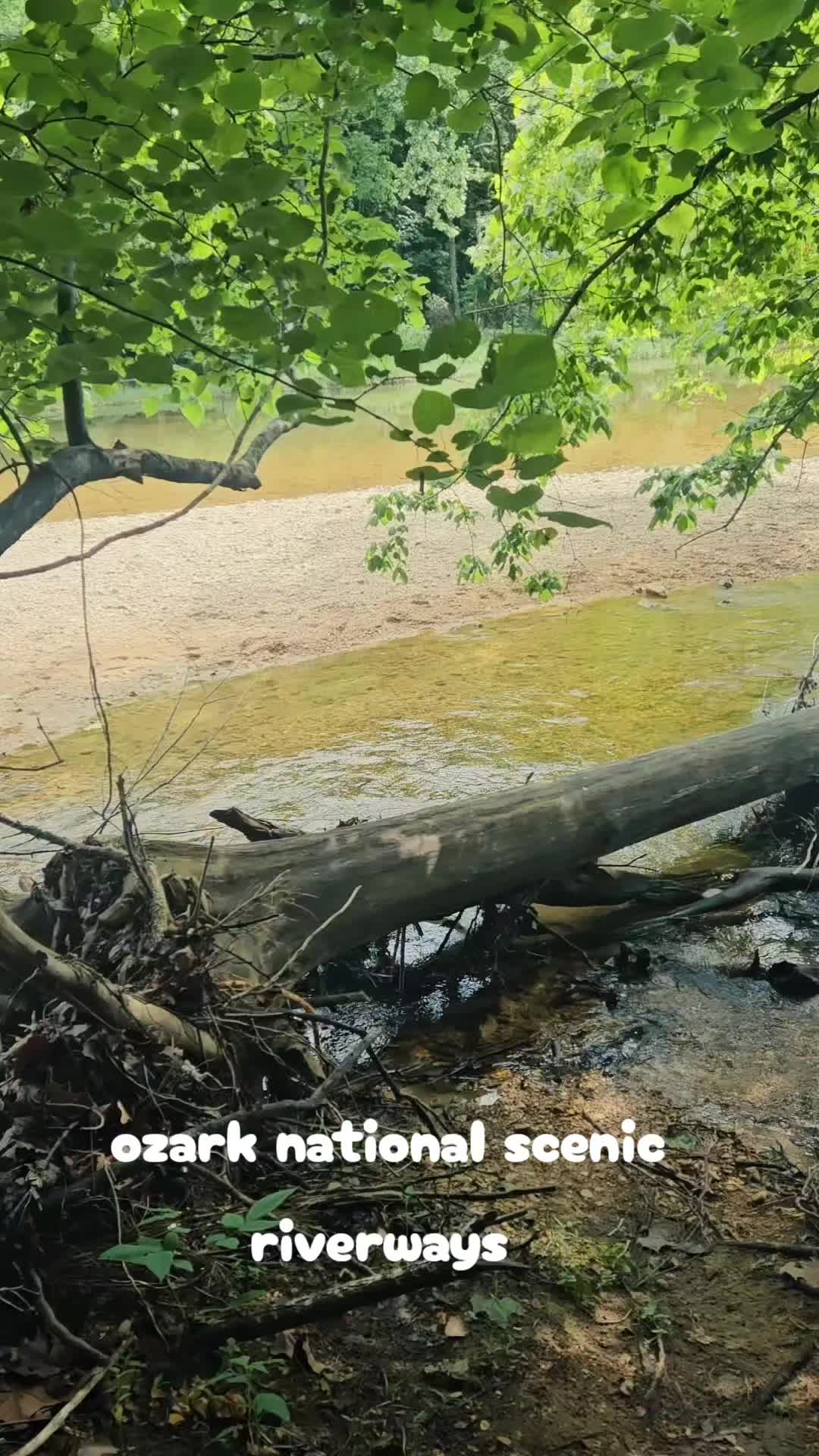 Ozark National Scenic Riverways, MO