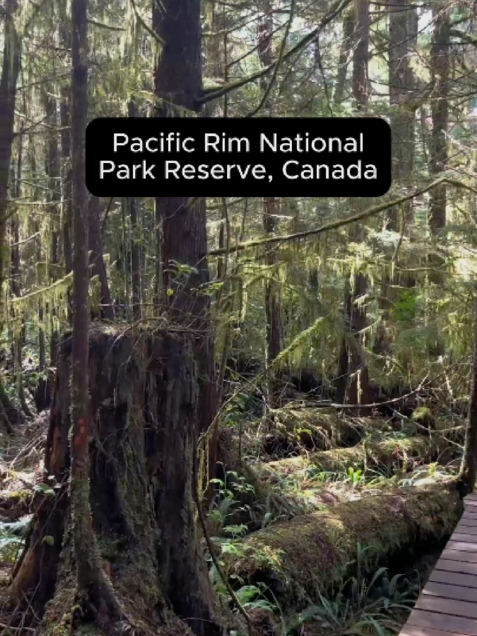 Pacific Rim National Park Reserve