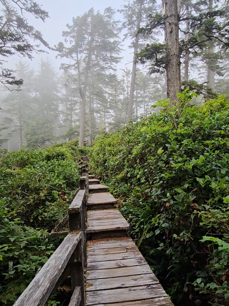 Pacific Rim National Park Reserve