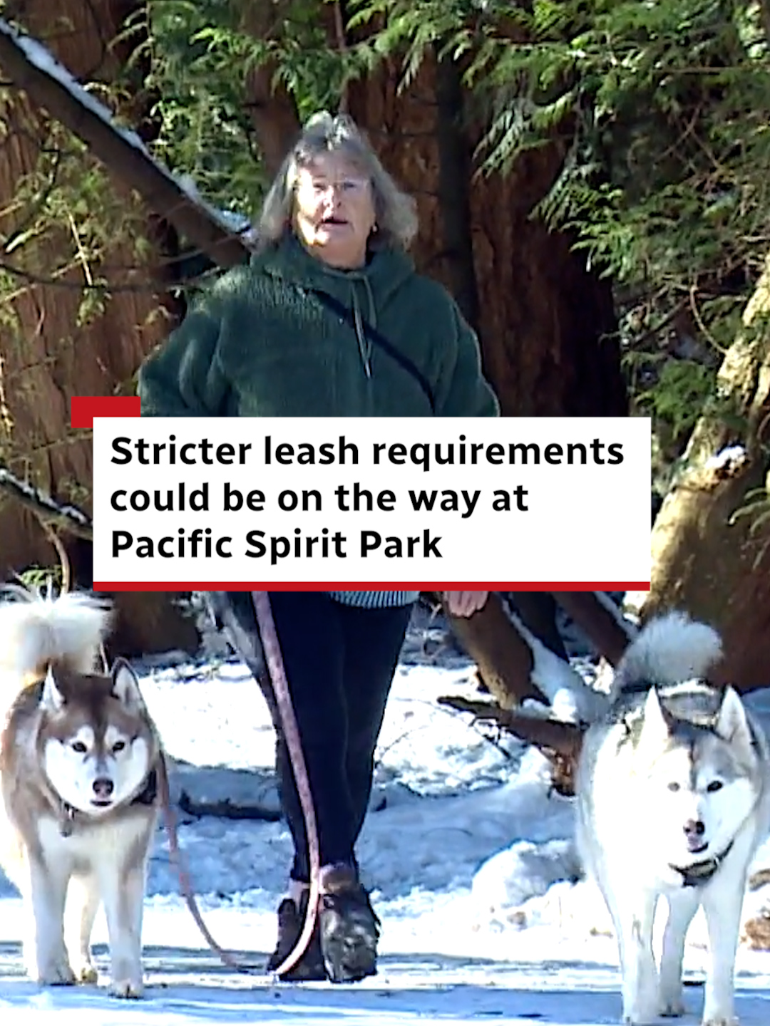 Pacific Spirit Regional Park
