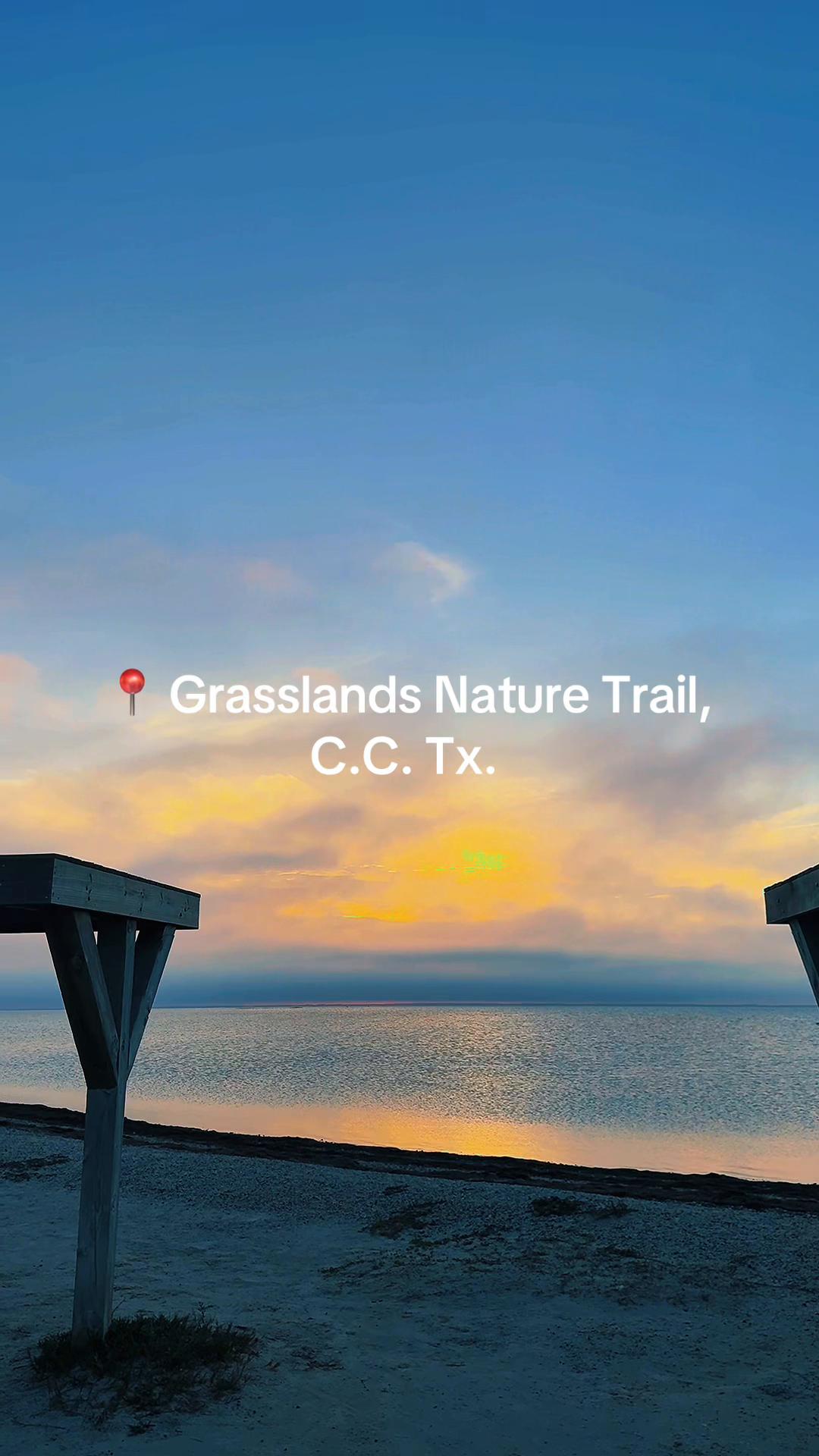 Padre Island National Seashore