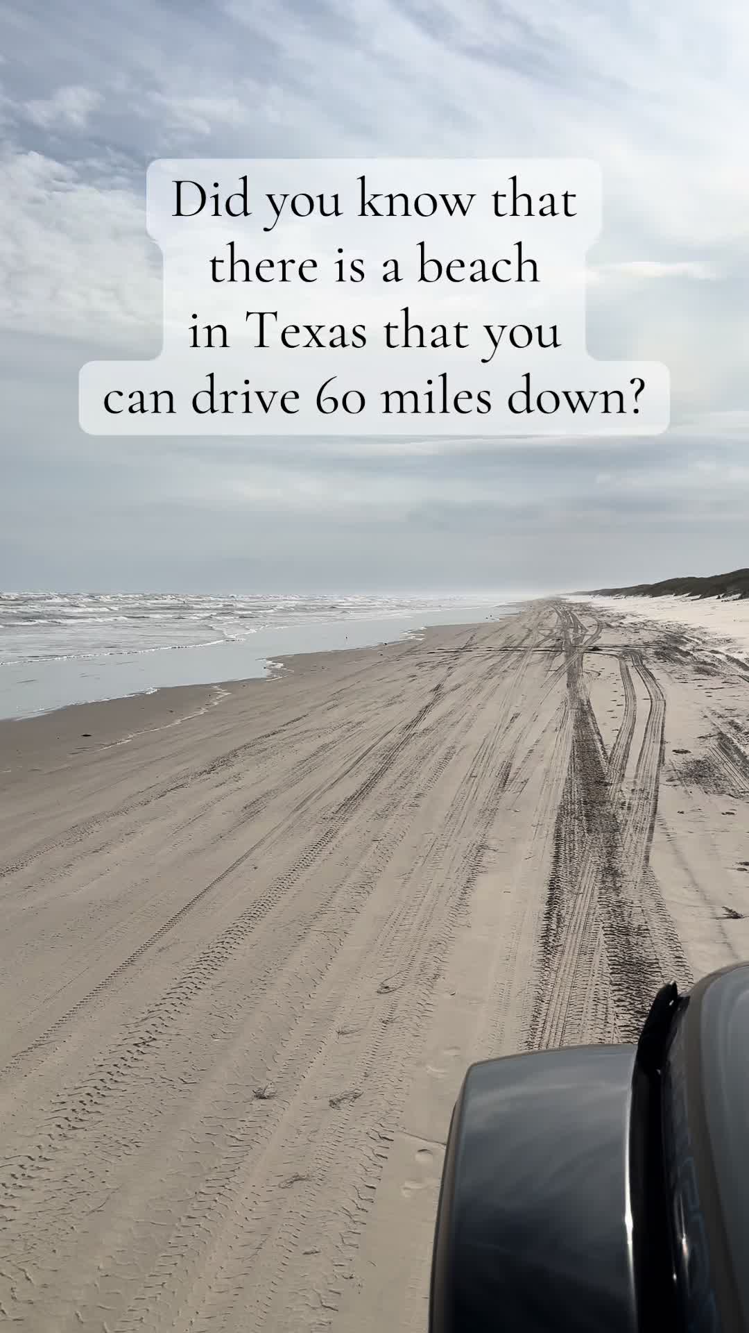 Padre Island National Seashore