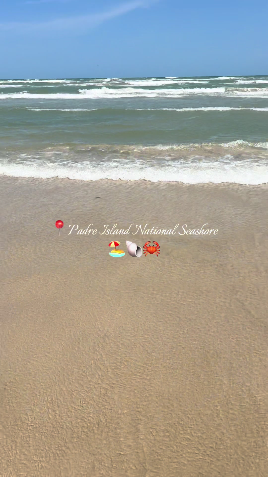 Padre Island National Seashore
