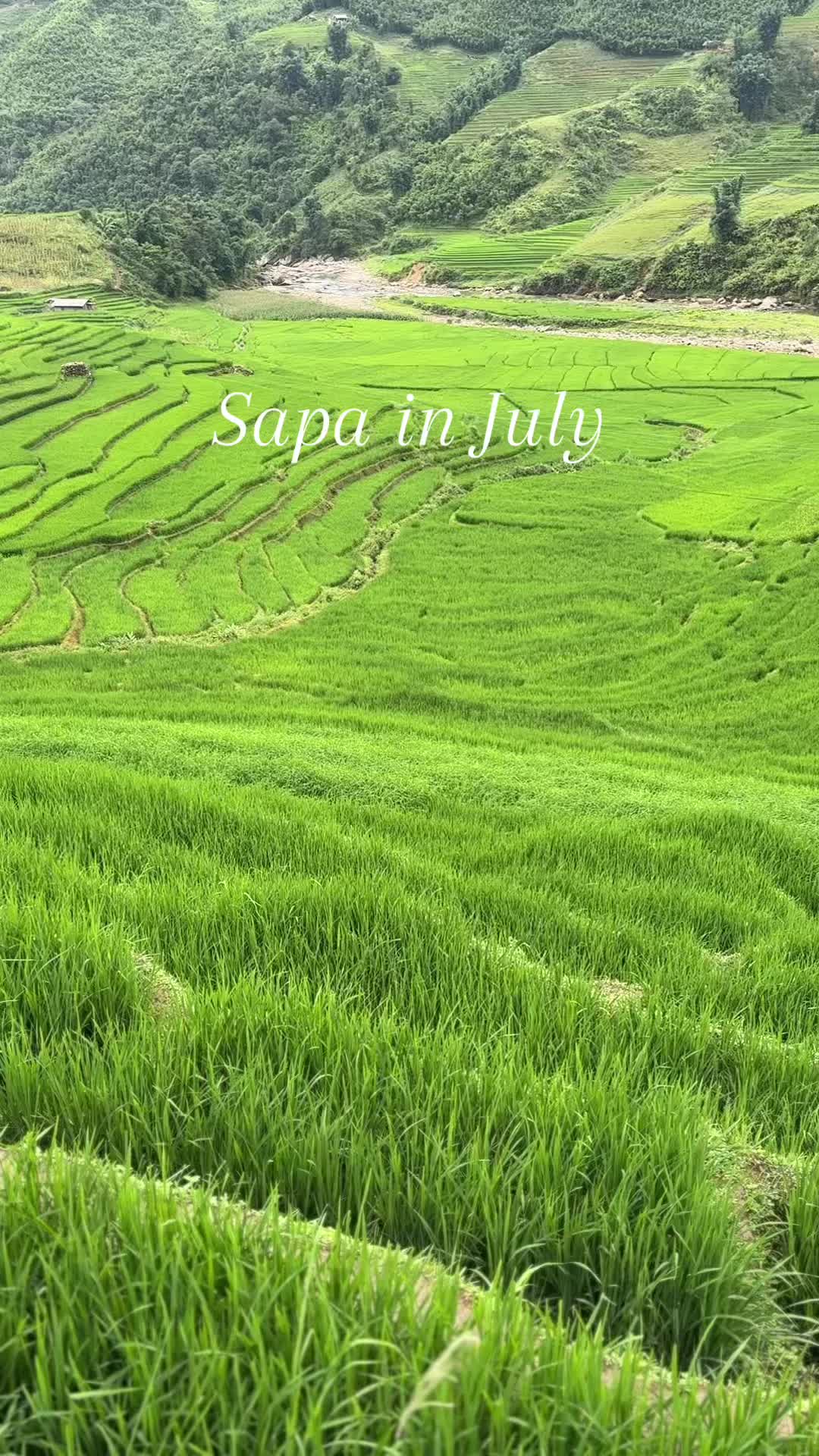 Пагода Линь Фуок (Chua Linh Phuoc)