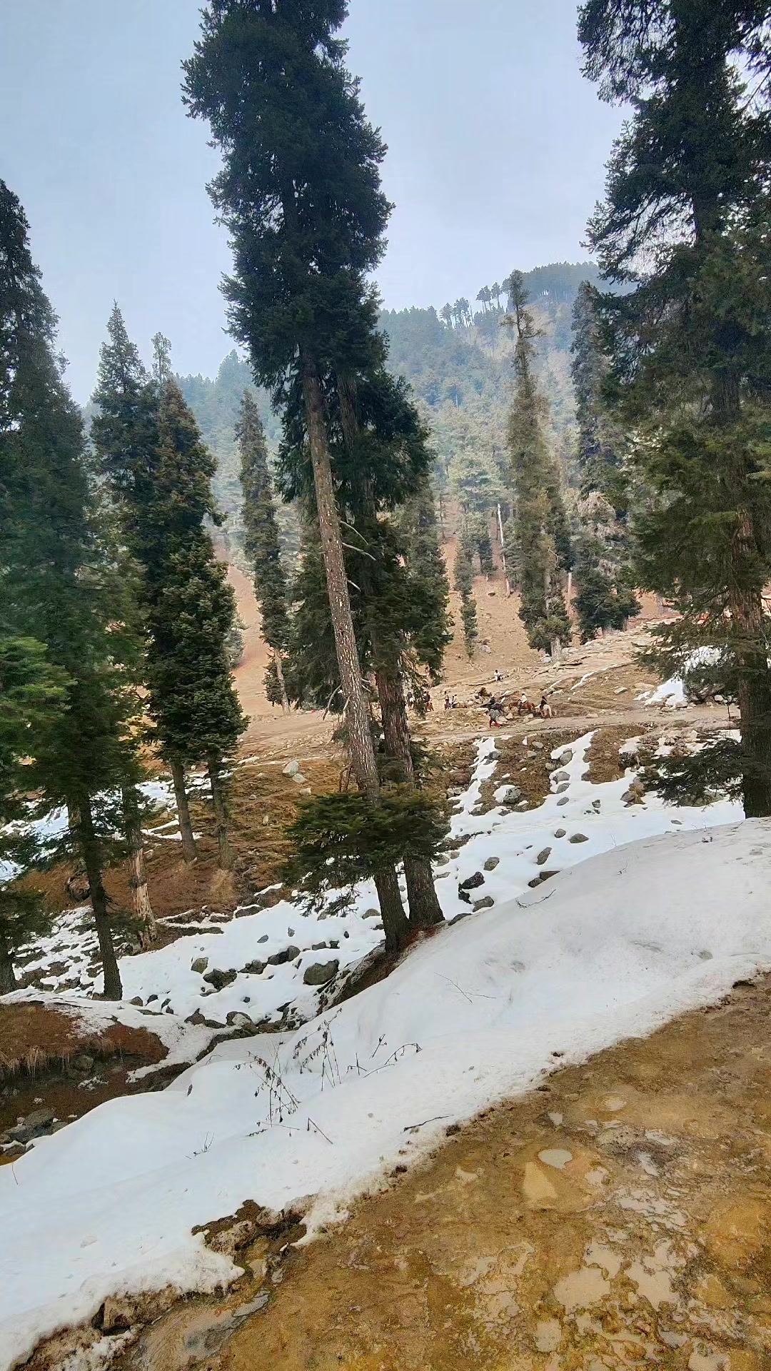 Pahalgam