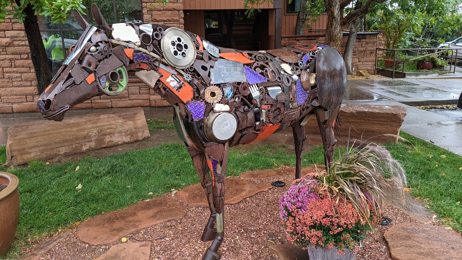Picture for Painted Pony