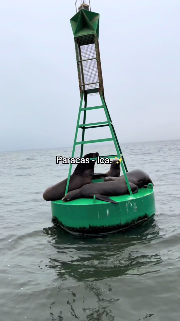 Paracas