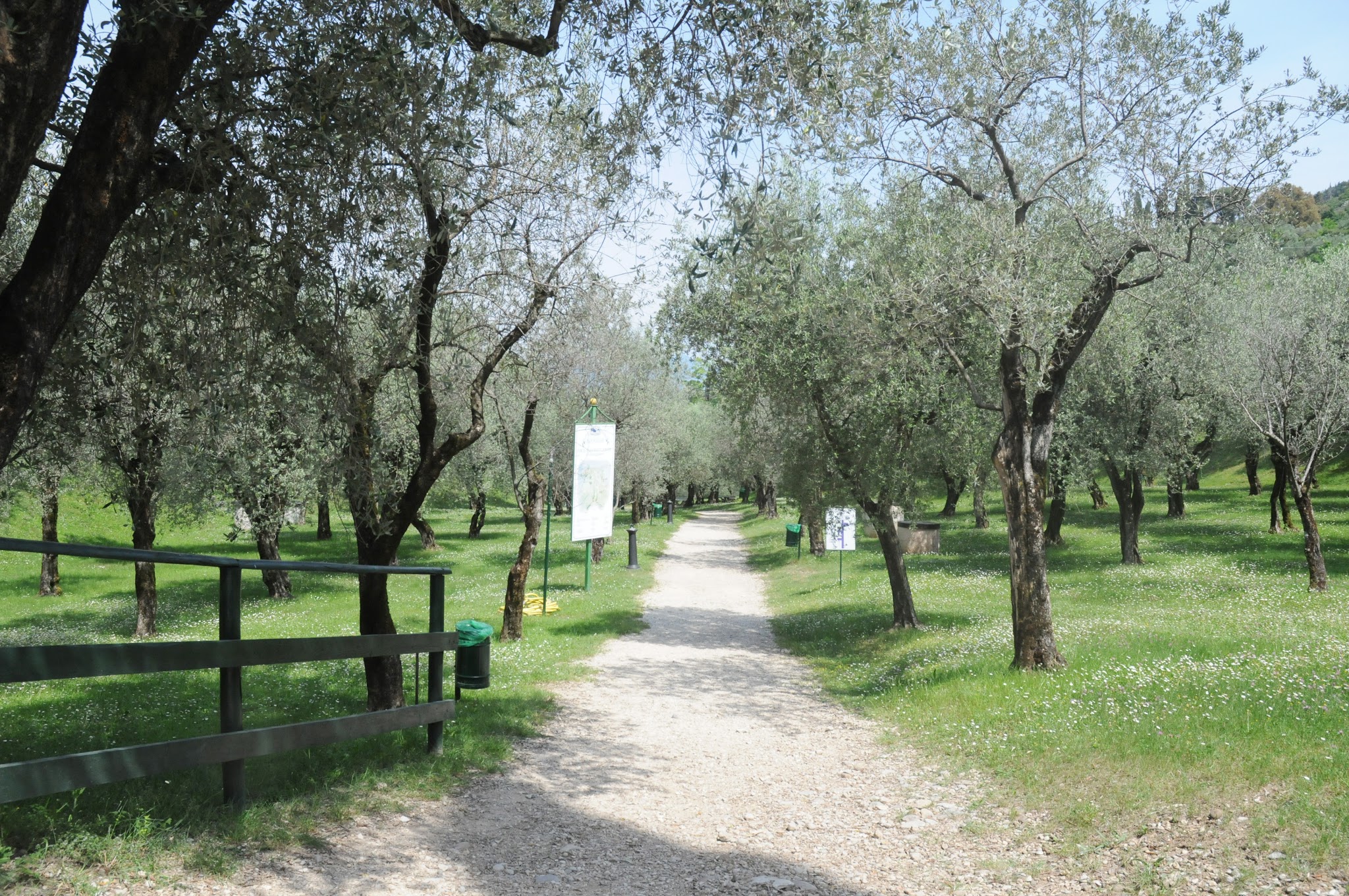 בירג'סיטו דל גארדה