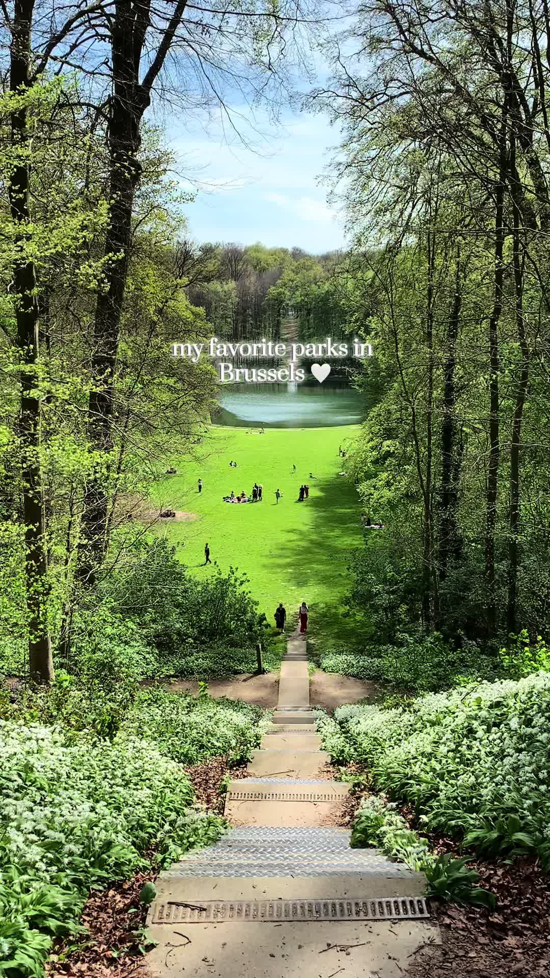 Парк Брюсселя (Parc de Bruxelles)