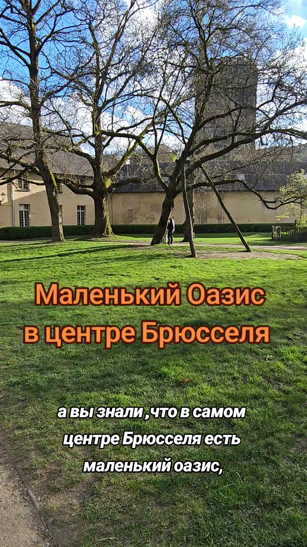 Парк Брюсселя (Parc de Bruxelles)