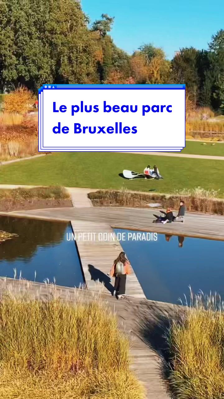 Парк Брюсселя (Parc de Bruxelles)