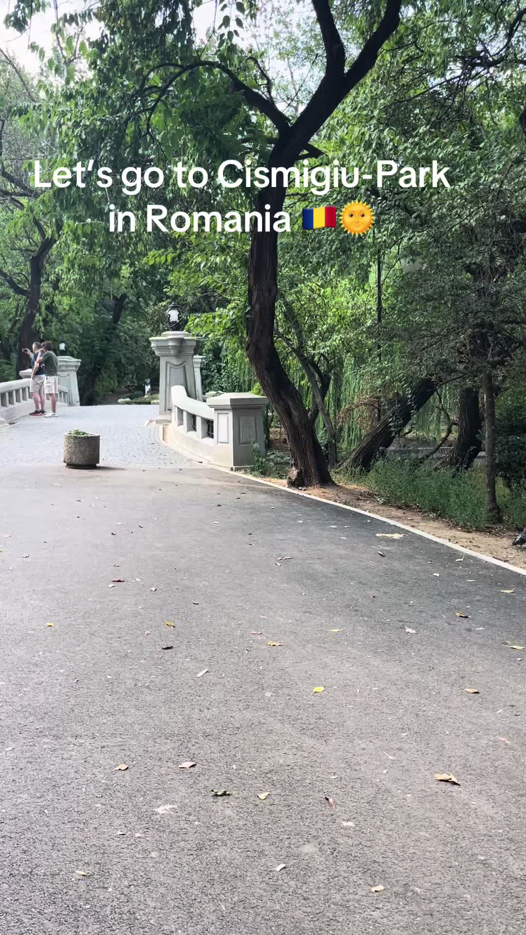Парк Чишмиджиу