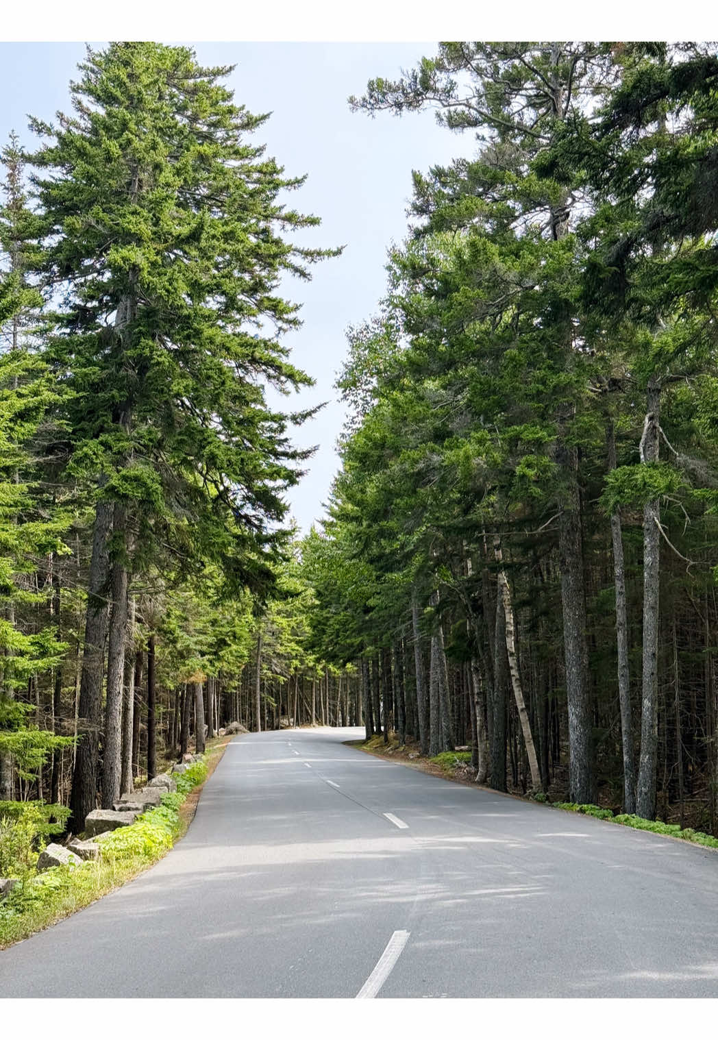 Park Loop Road