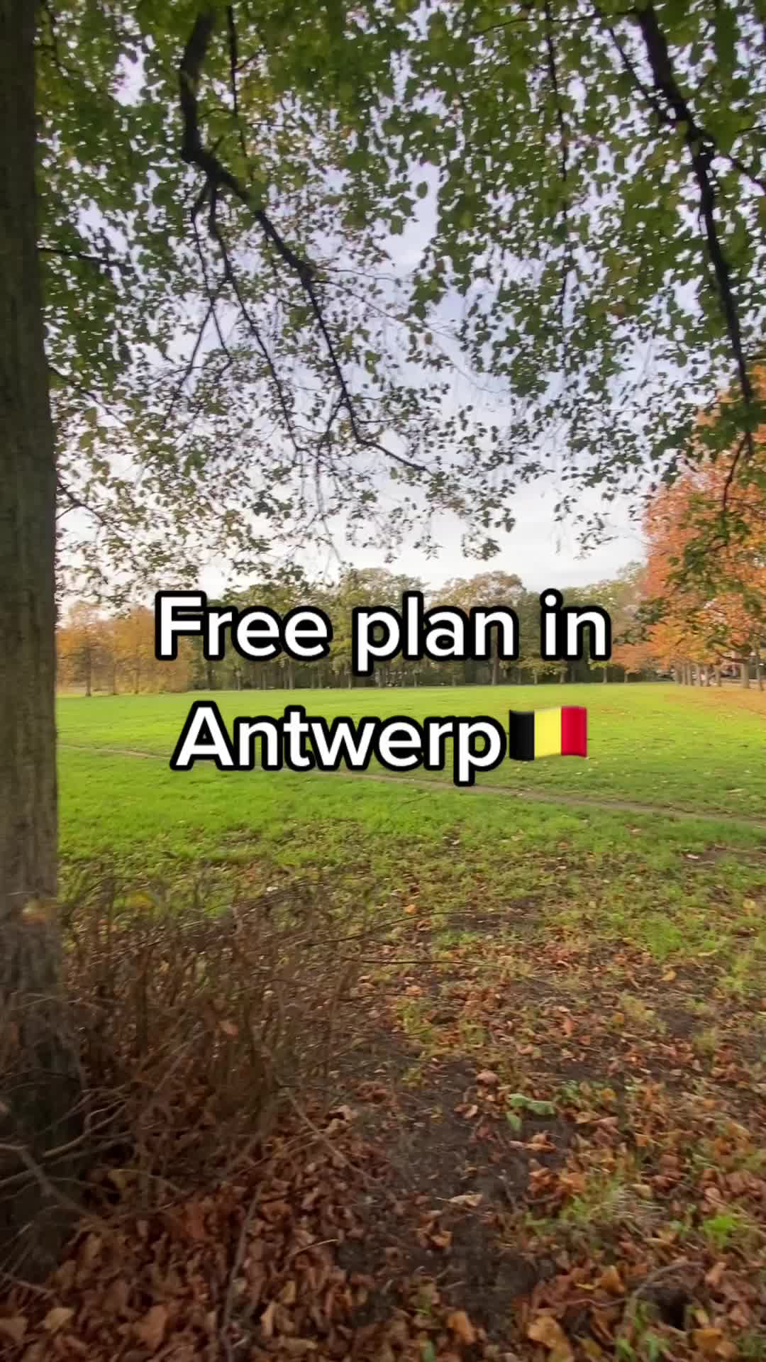 Парк Мидделхейм (Middelheim Park & Museum)