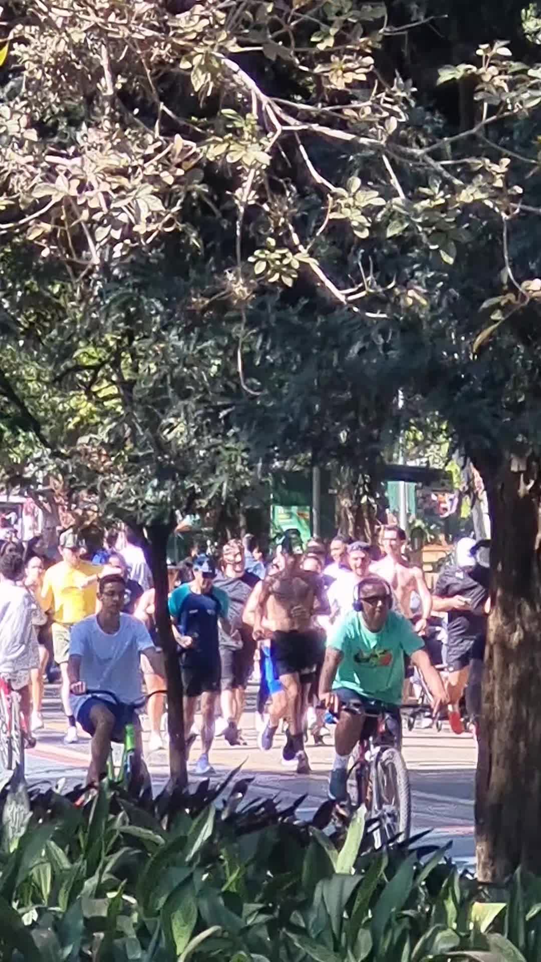 Parque Ibirapuera, סאו פאולו