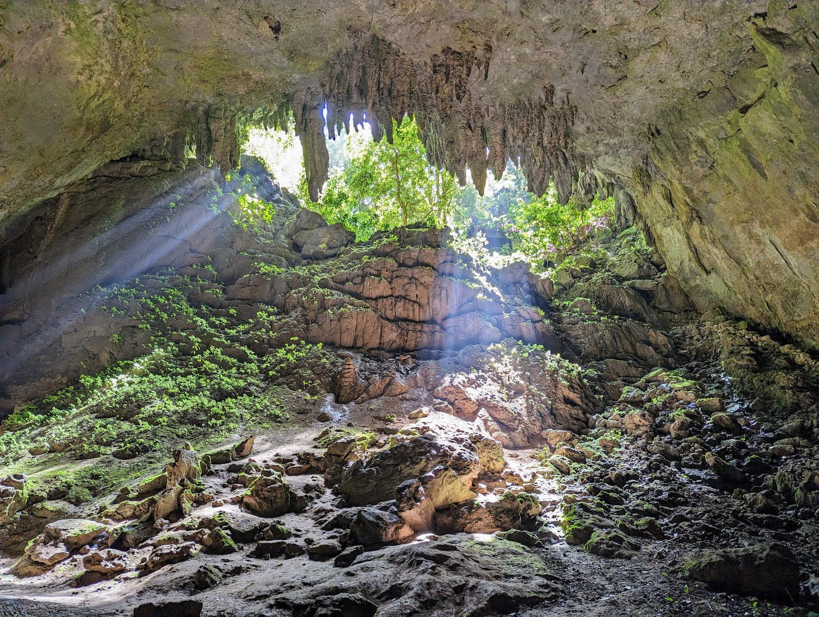 Camuy River Cave Park