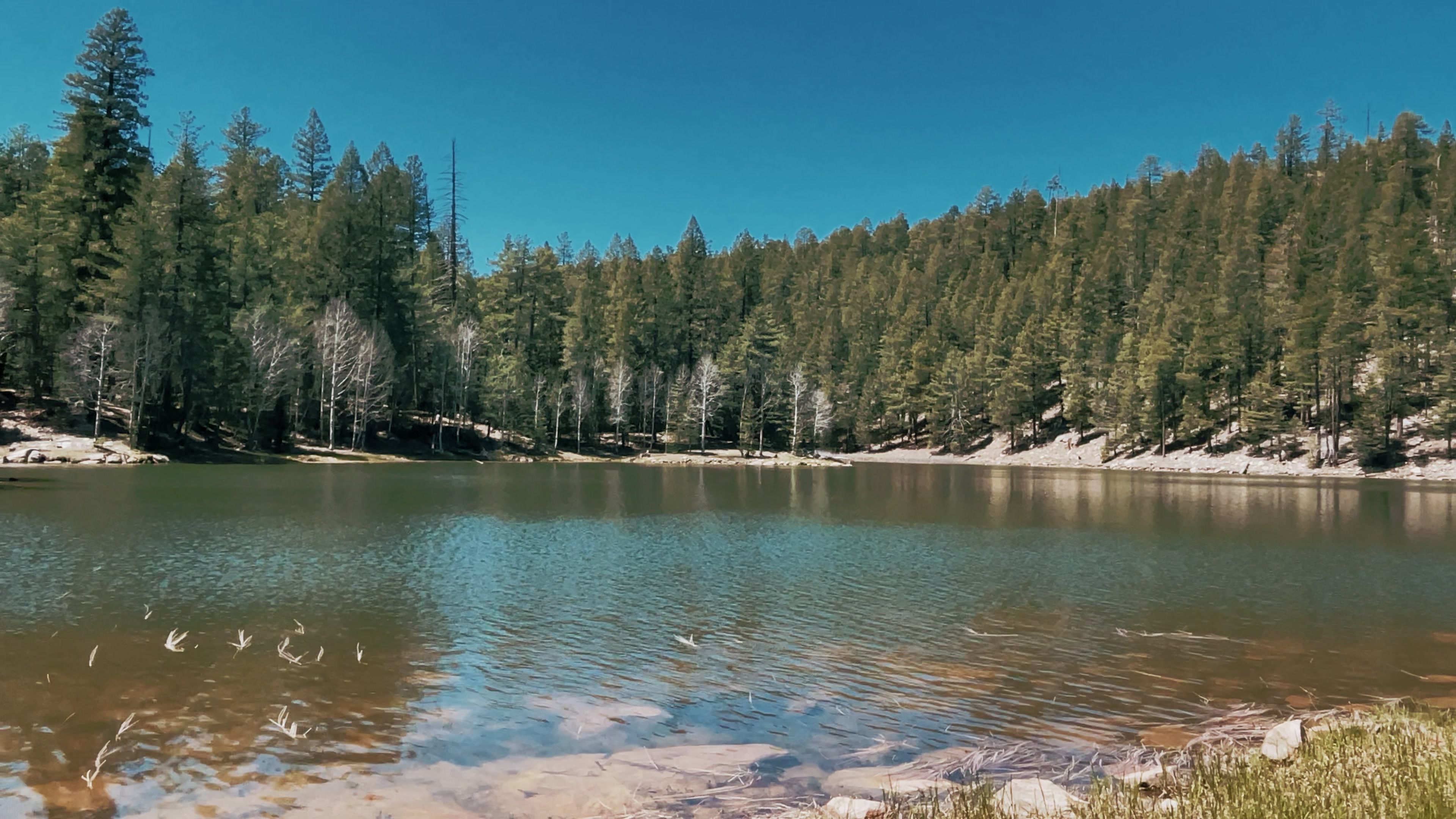 Payson, AZ