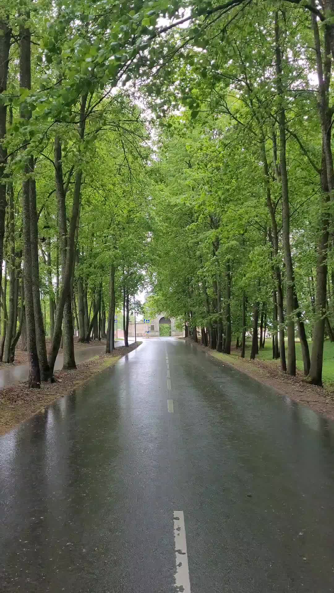 Пажайслисский монастырь (Pažaislis Monastery)