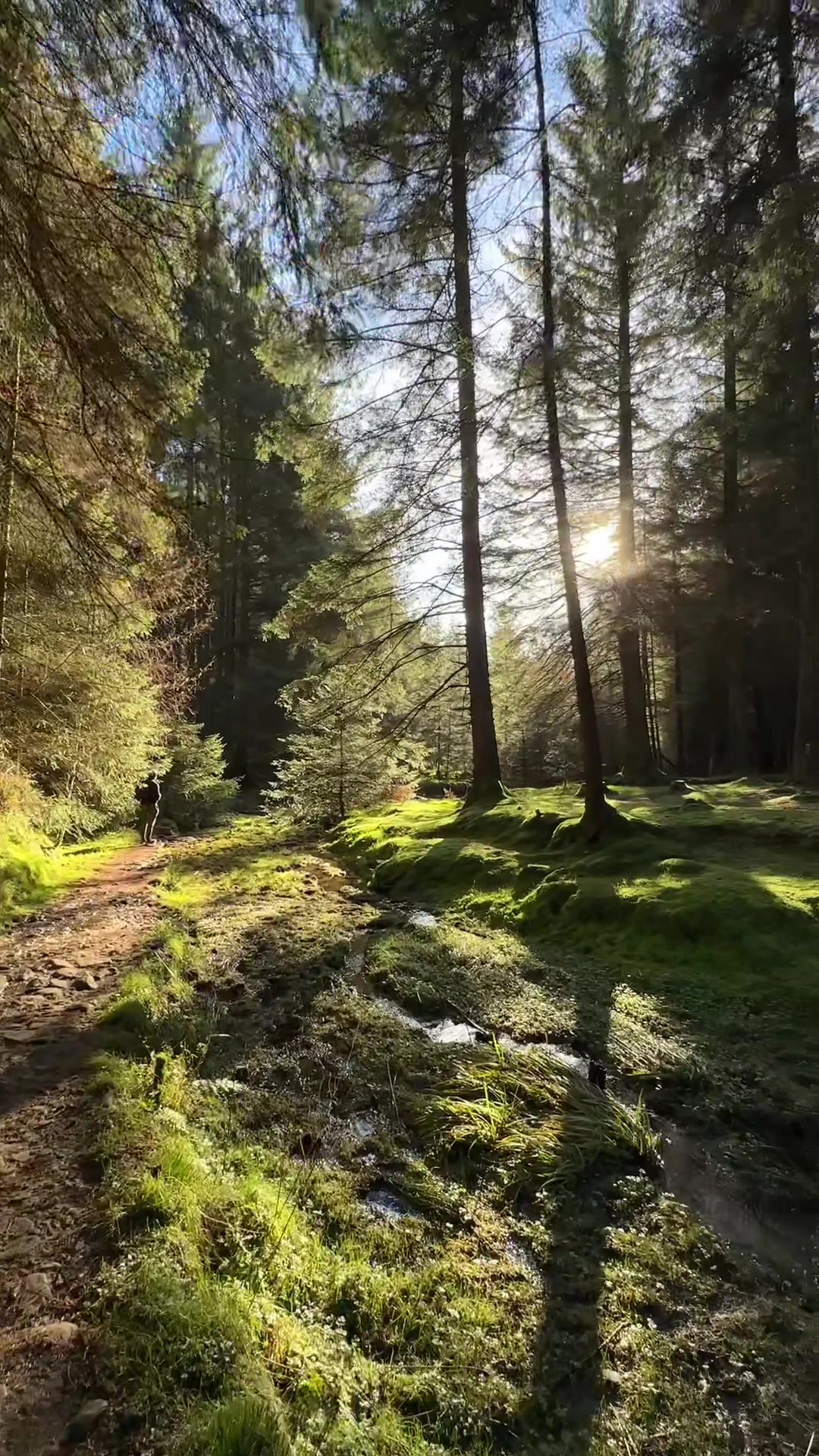 Peak District National Park