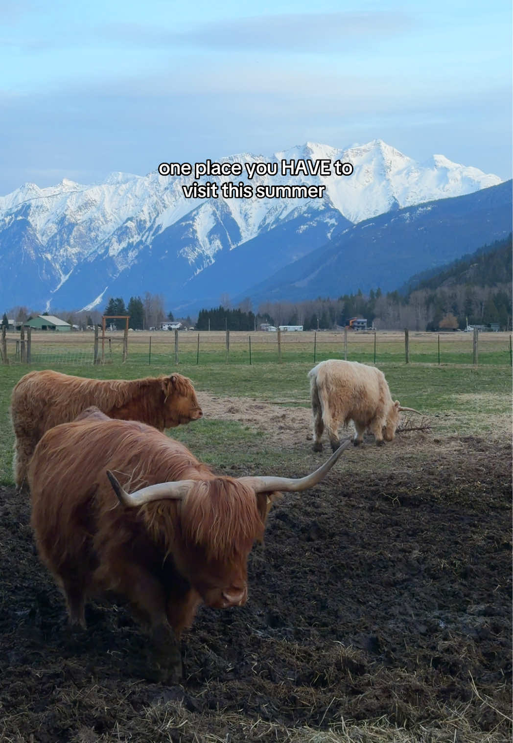 Pemberton
