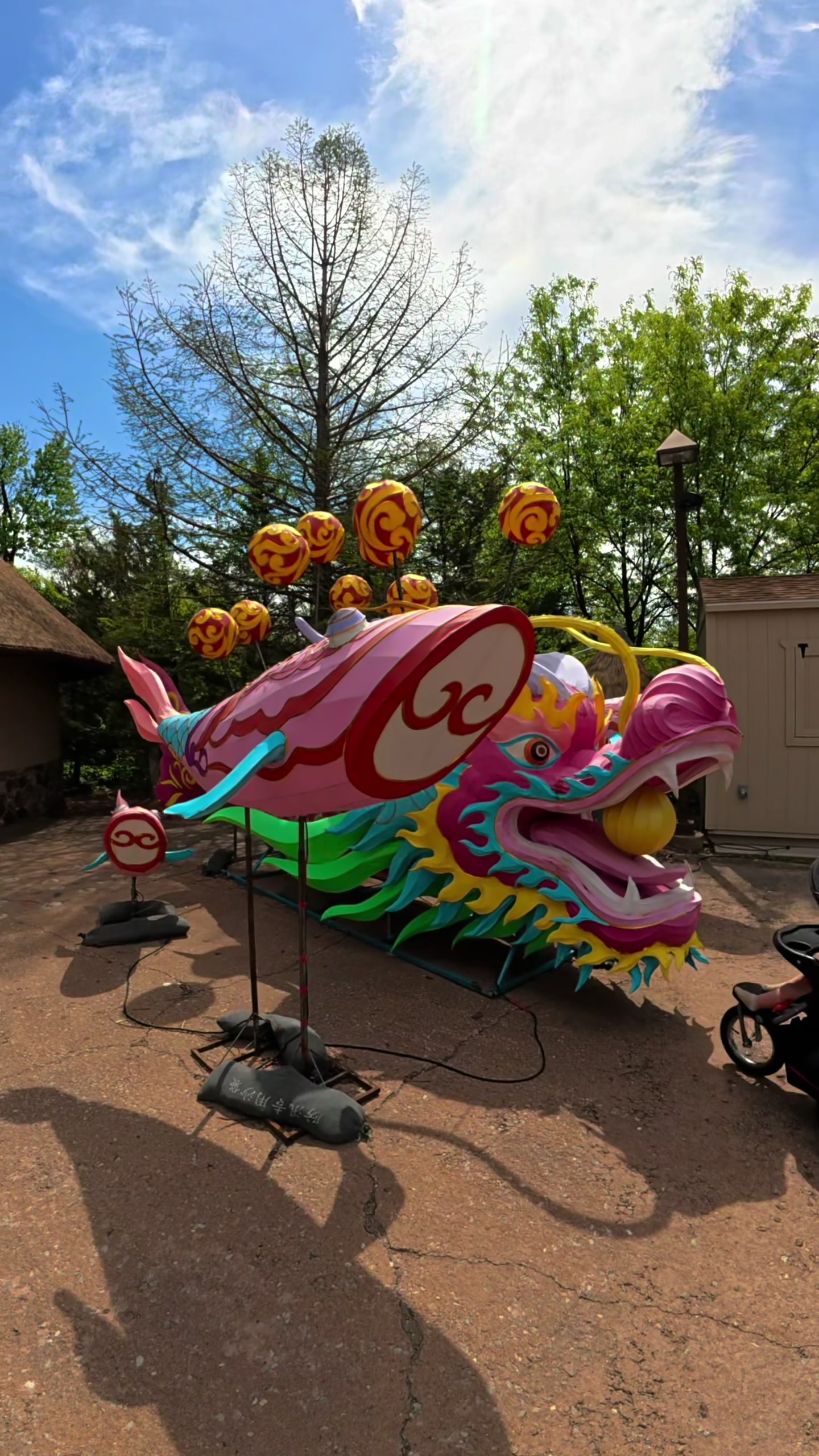 Peoria Zoo