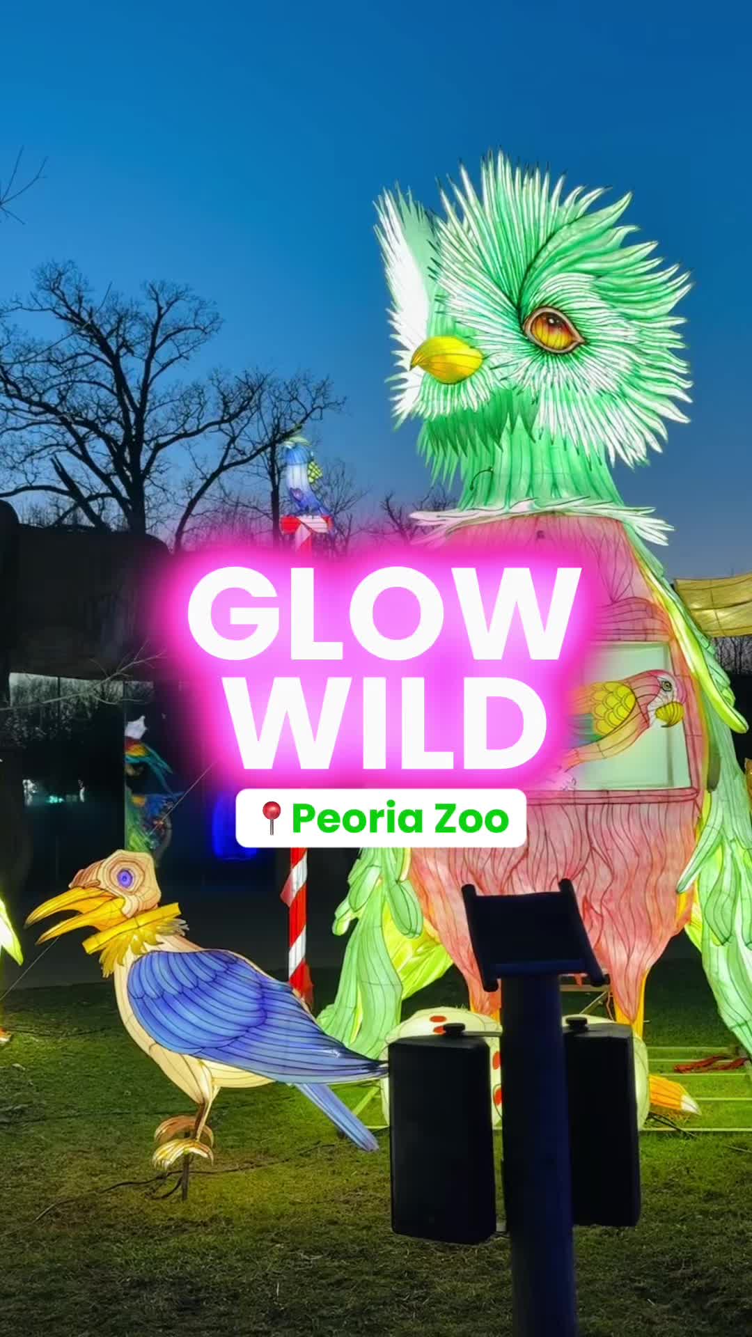 Peoria Zoo