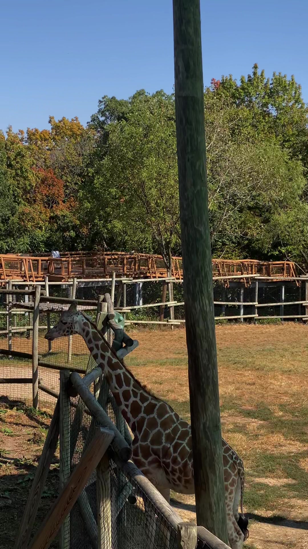 Peoria Zoo