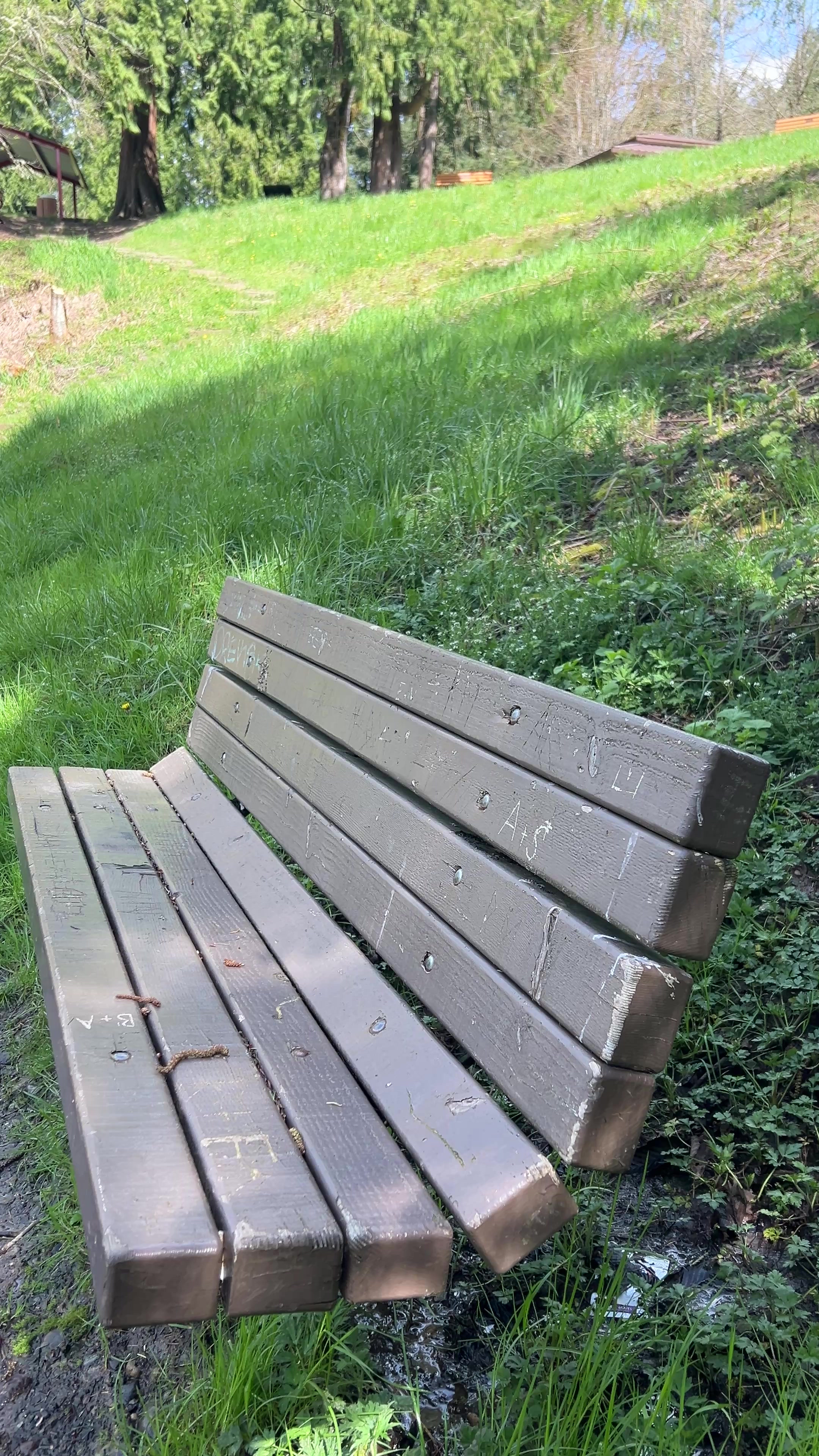 Percival Landing Park