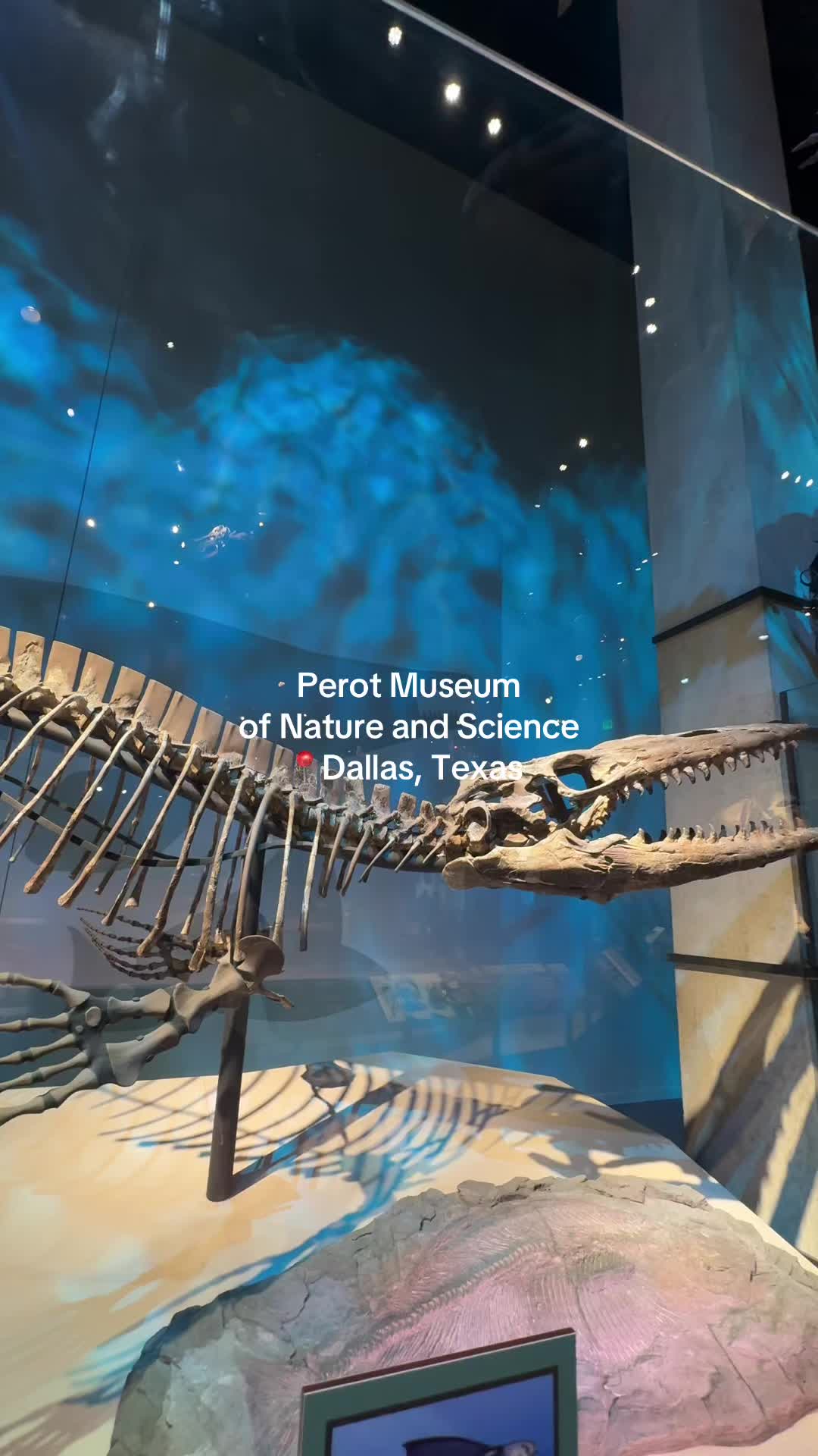 Perot Museum of Nature and Science