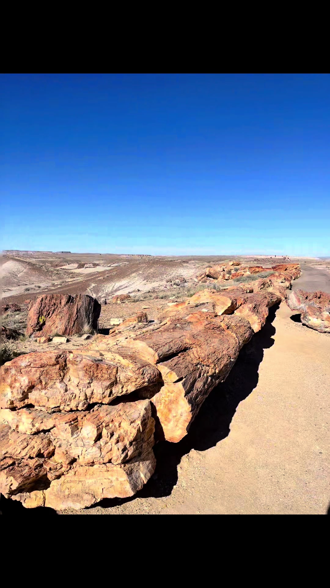 Petrified Forest National Park, AZ