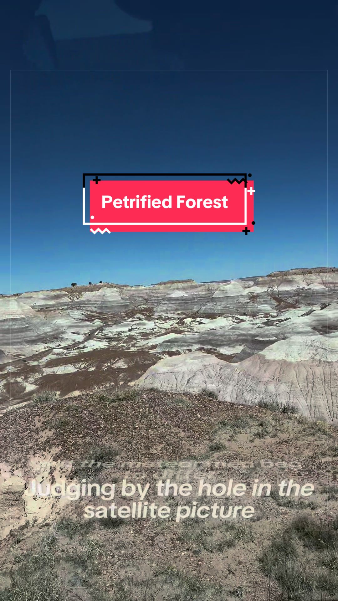Petrified Forest National Park
